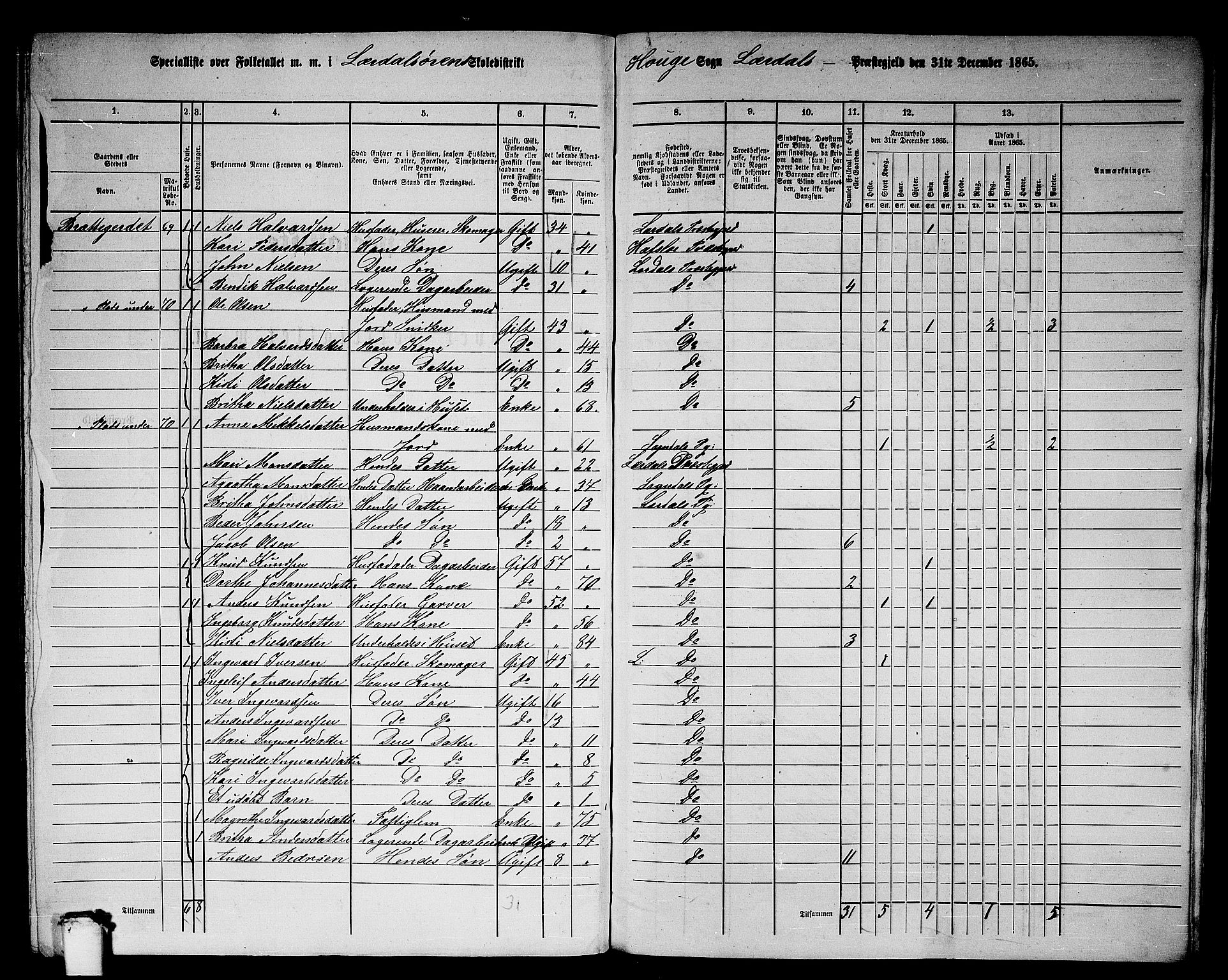 RA, 1865 census for Lærdal, 1865, p. 160