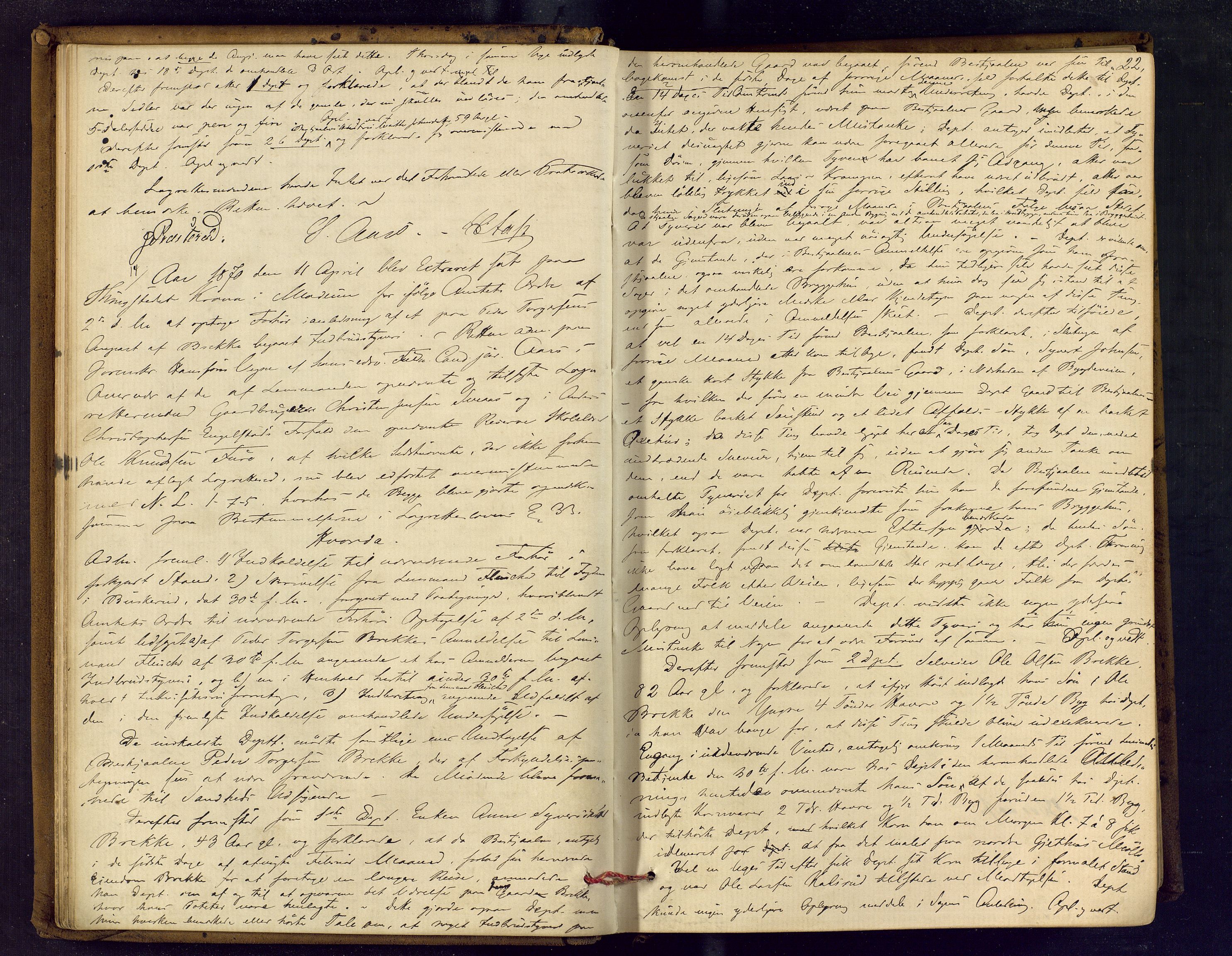 Eiker, Modum og Sigdal sorenskriveri, AV/SAKO-A-123/F/Fc/L0012: Ekstrarettsprotokoll - Modum, 1869-1883, p. 22