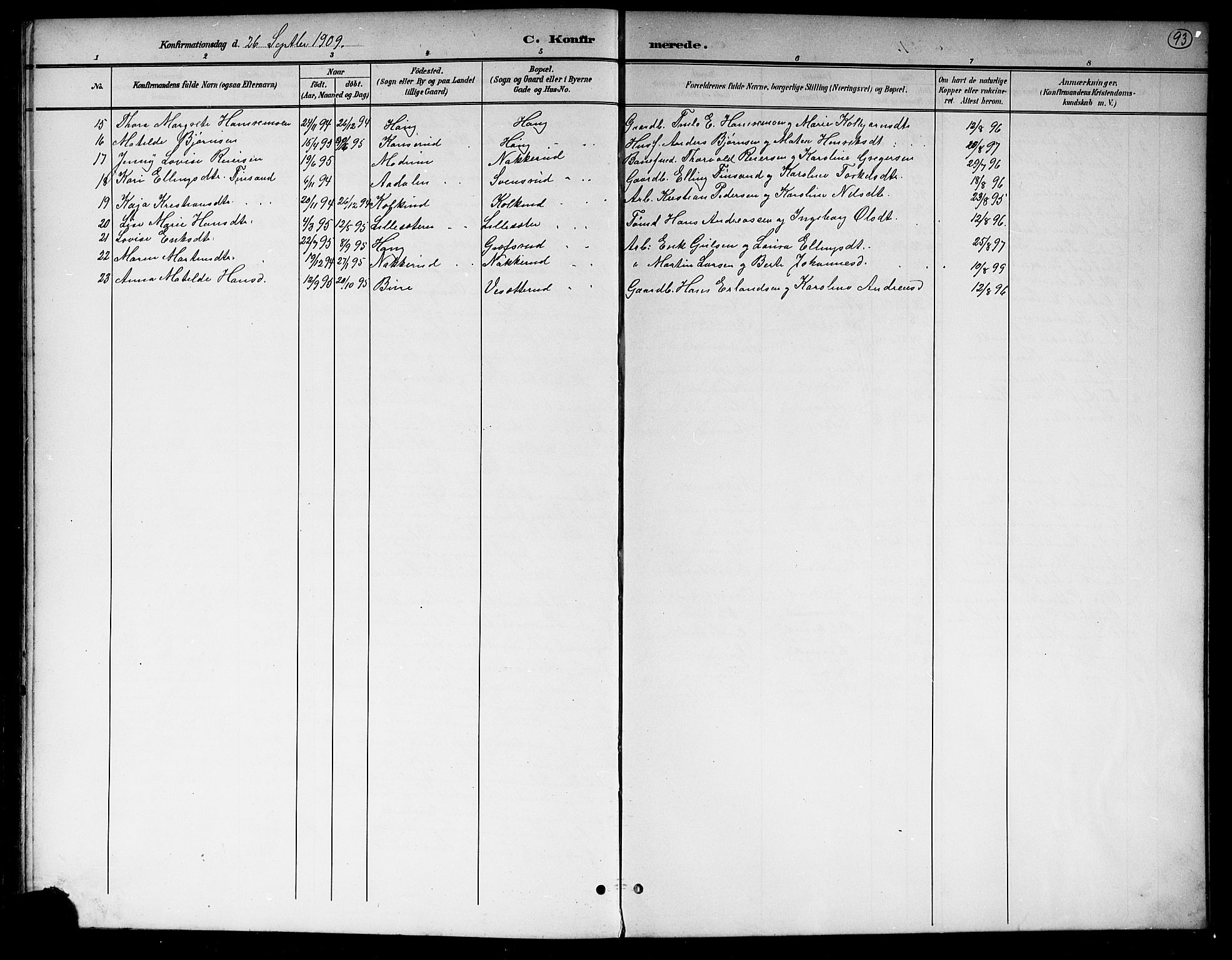 Hole kirkebøker, AV/SAKO-A-228/G/Gb/L0004: Parish register (copy) no. II 4, 1901-1916, p. 93