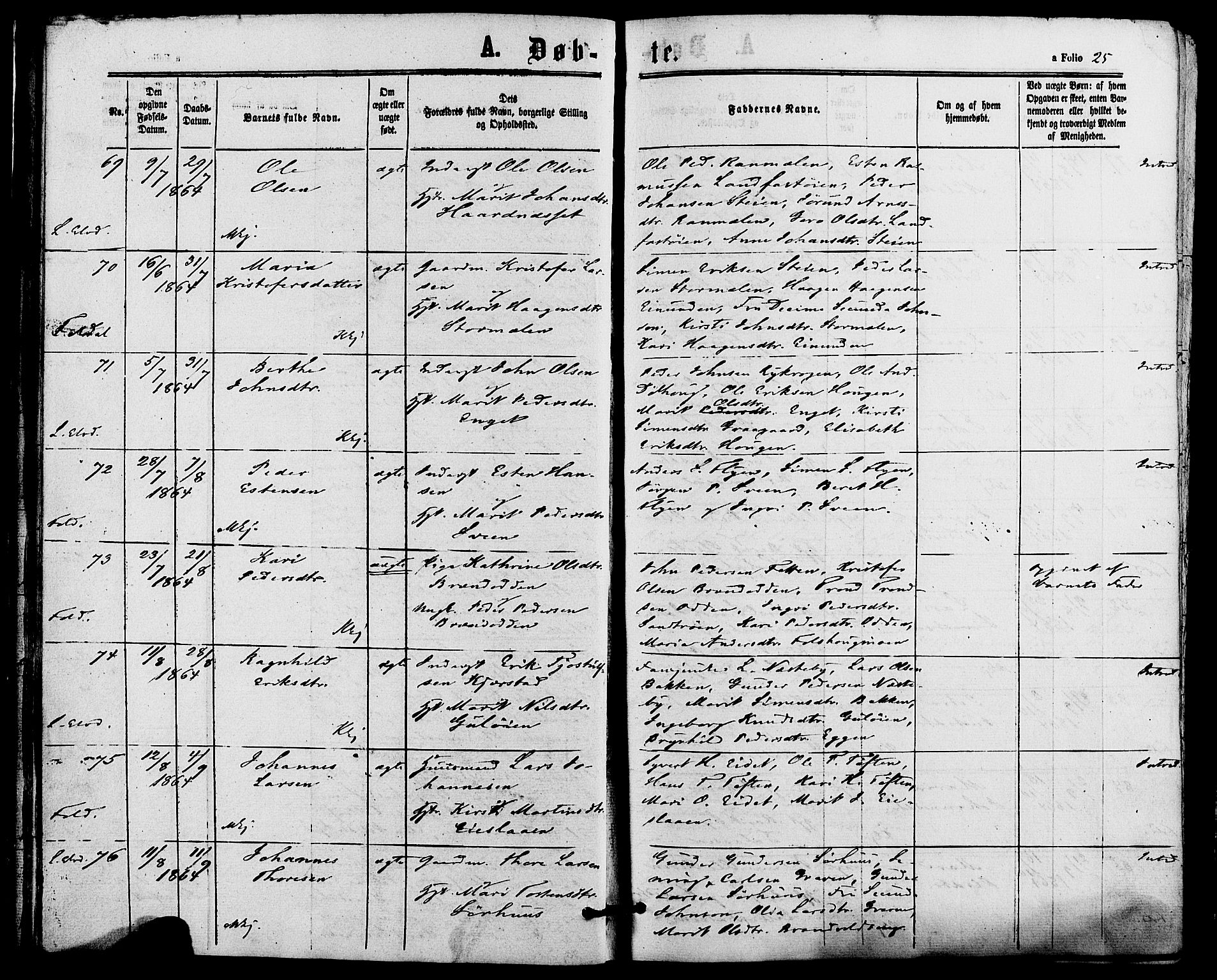 Alvdal prestekontor, SAH/PREST-060/H/Ha/Haa/L0001: Parish register (official) no. 1, 1863-1882, p. 25