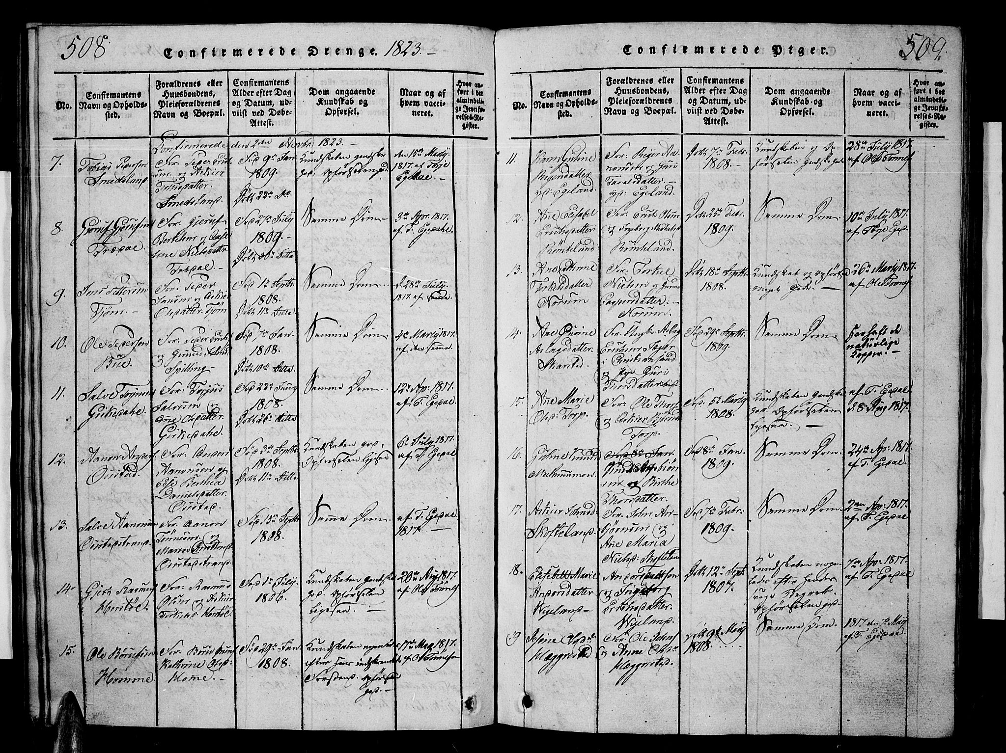 Sør-Audnedal sokneprestkontor, AV/SAK-1111-0039/F/Fb/Fbb/L0001: Parish register (copy) no. B 1, 1815-1827, p. 508-509