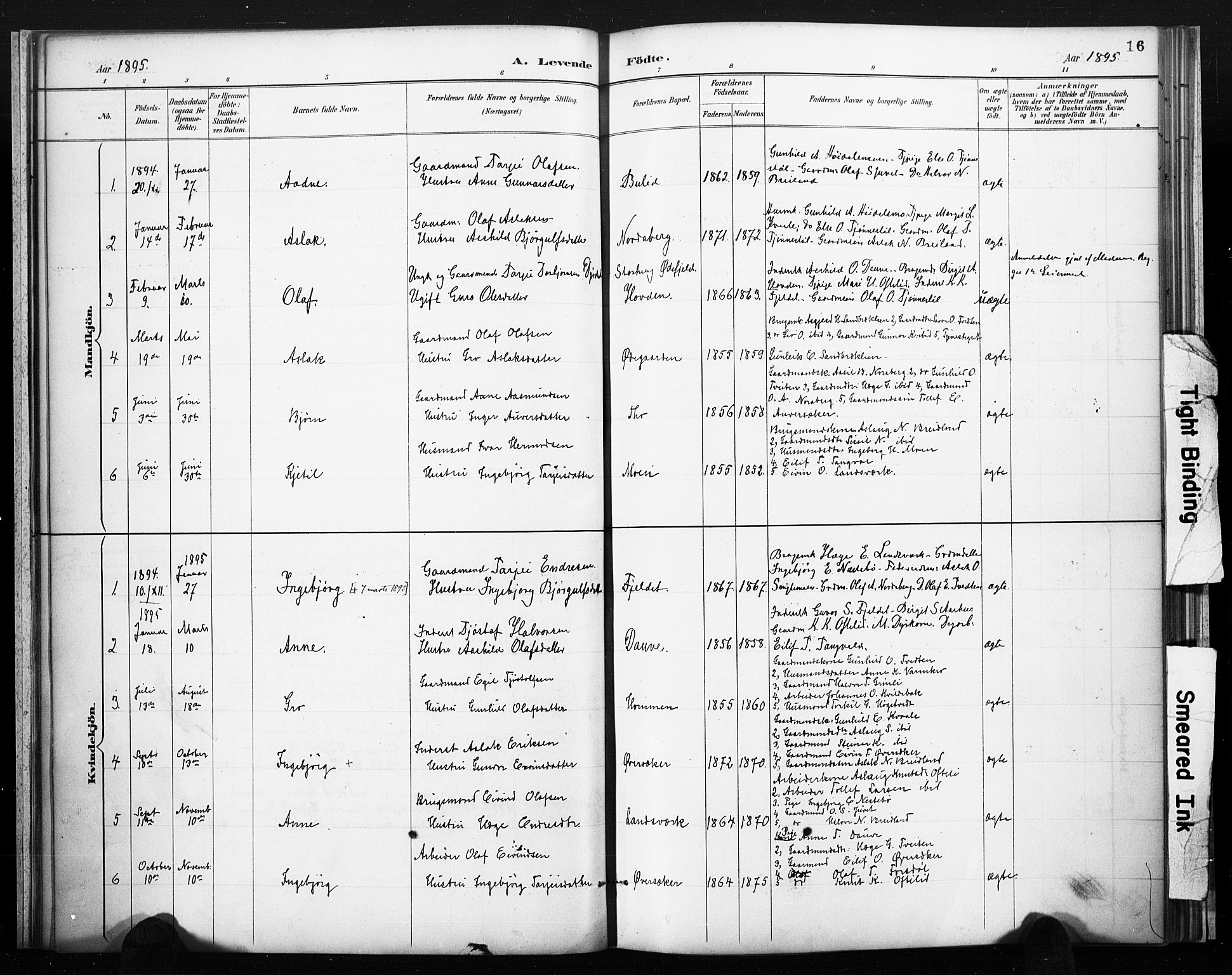 Lårdal kirkebøker, AV/SAKO-A-284/F/Fc/L0002: Parish register (official) no. III 2, 1887-1906, p. 16