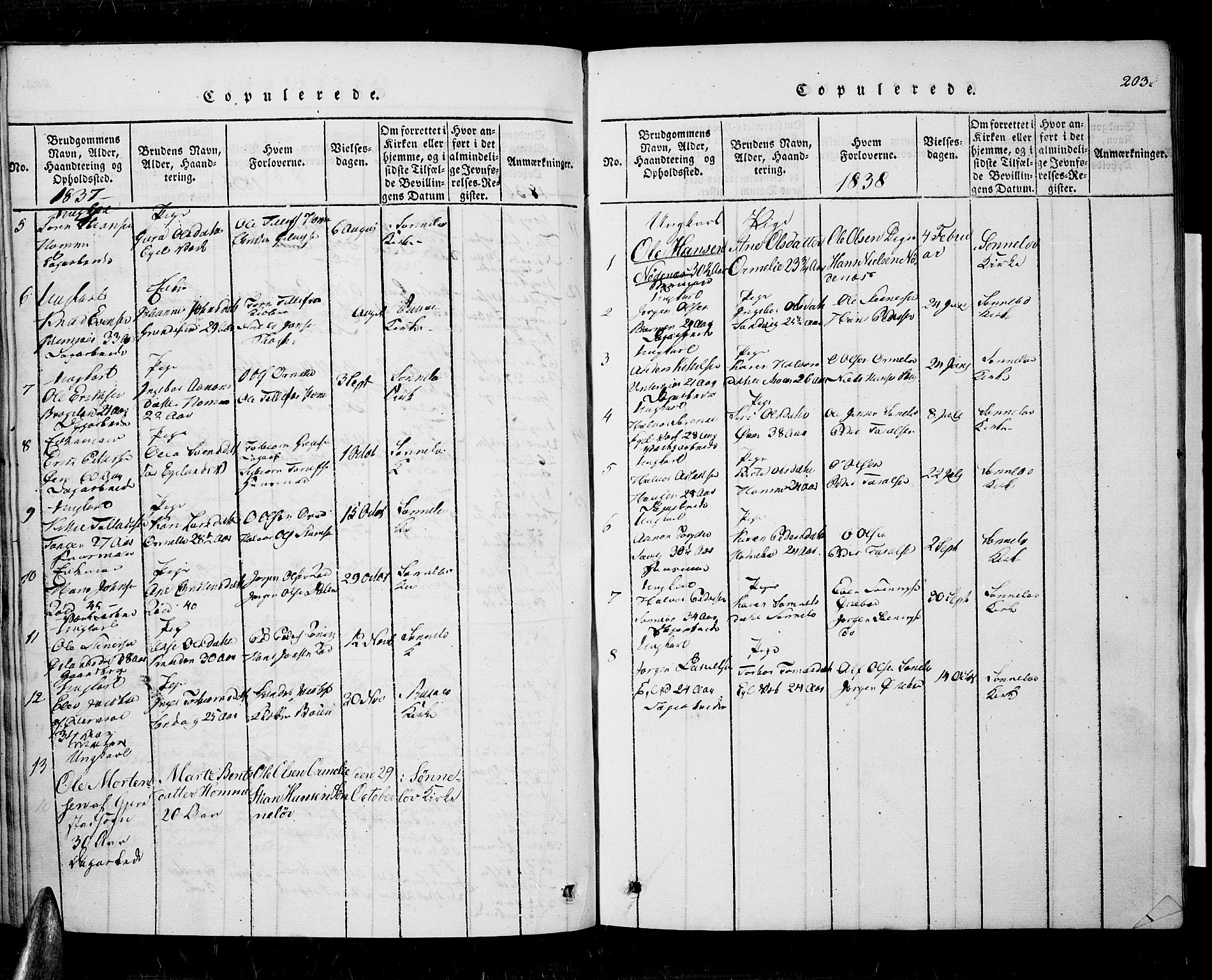 Søndeled sokneprestkontor, AV/SAK-1111-0038/F/Fa/L0001: Parish register (official) no. A 1, 1816-1838, p. 203