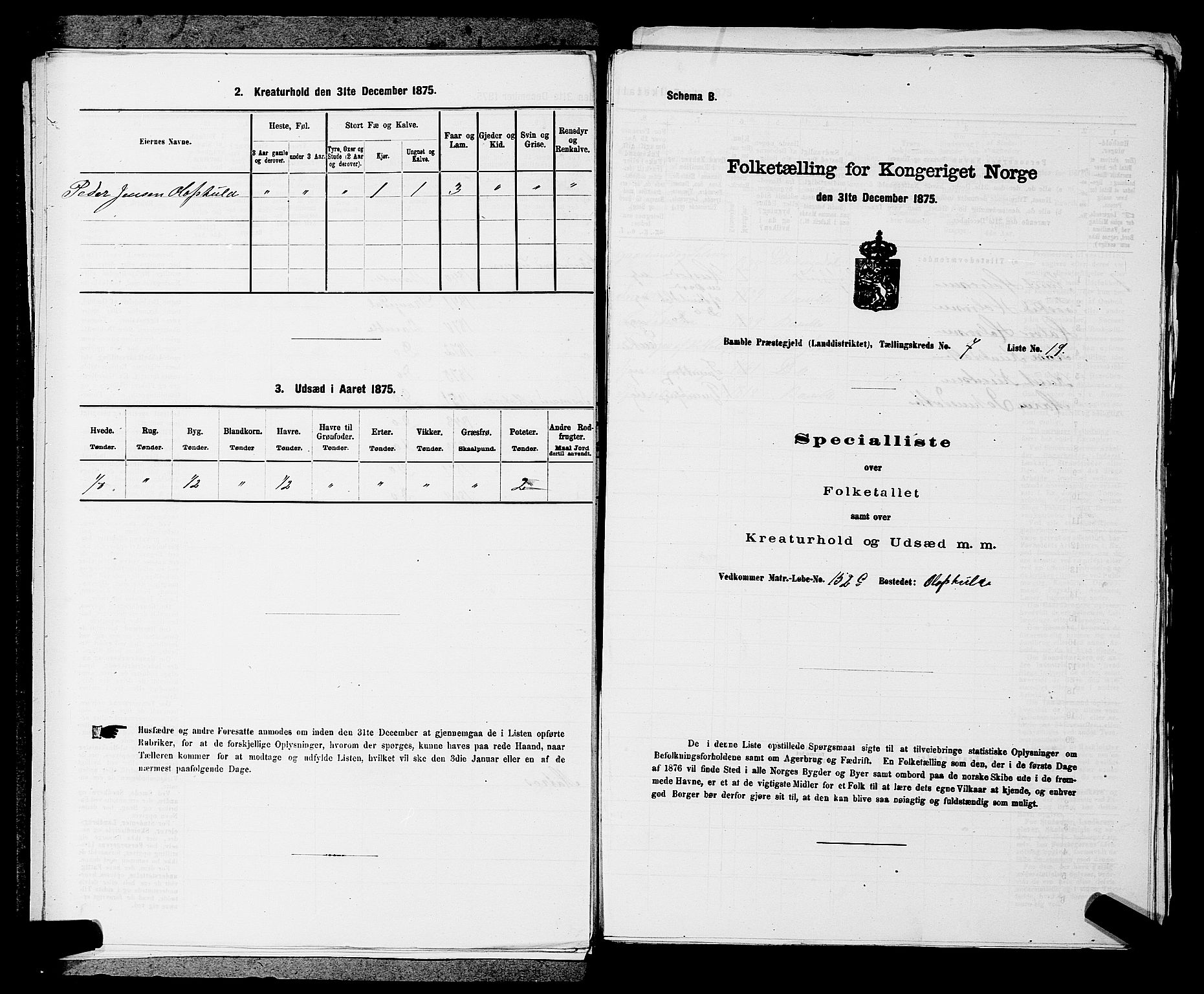 SAKO, 1875 census for 0814L Bamble/Bamble, 1875, p. 981