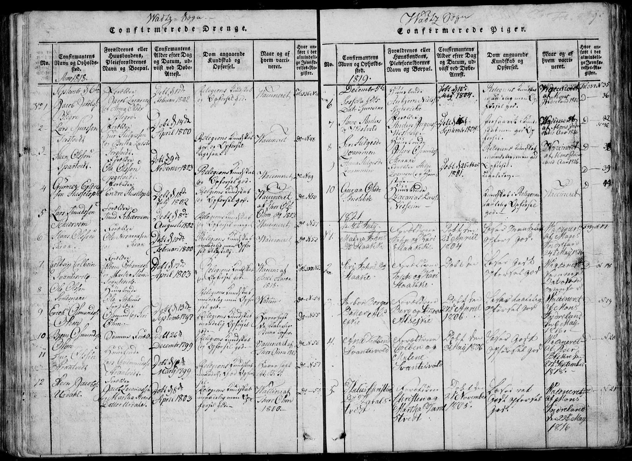 Skjold sokneprestkontor, SAST/A-101847/H/Ha/Haa/L0004: Parish register (official) no. A 4 /2, 1815-1830, p. 239