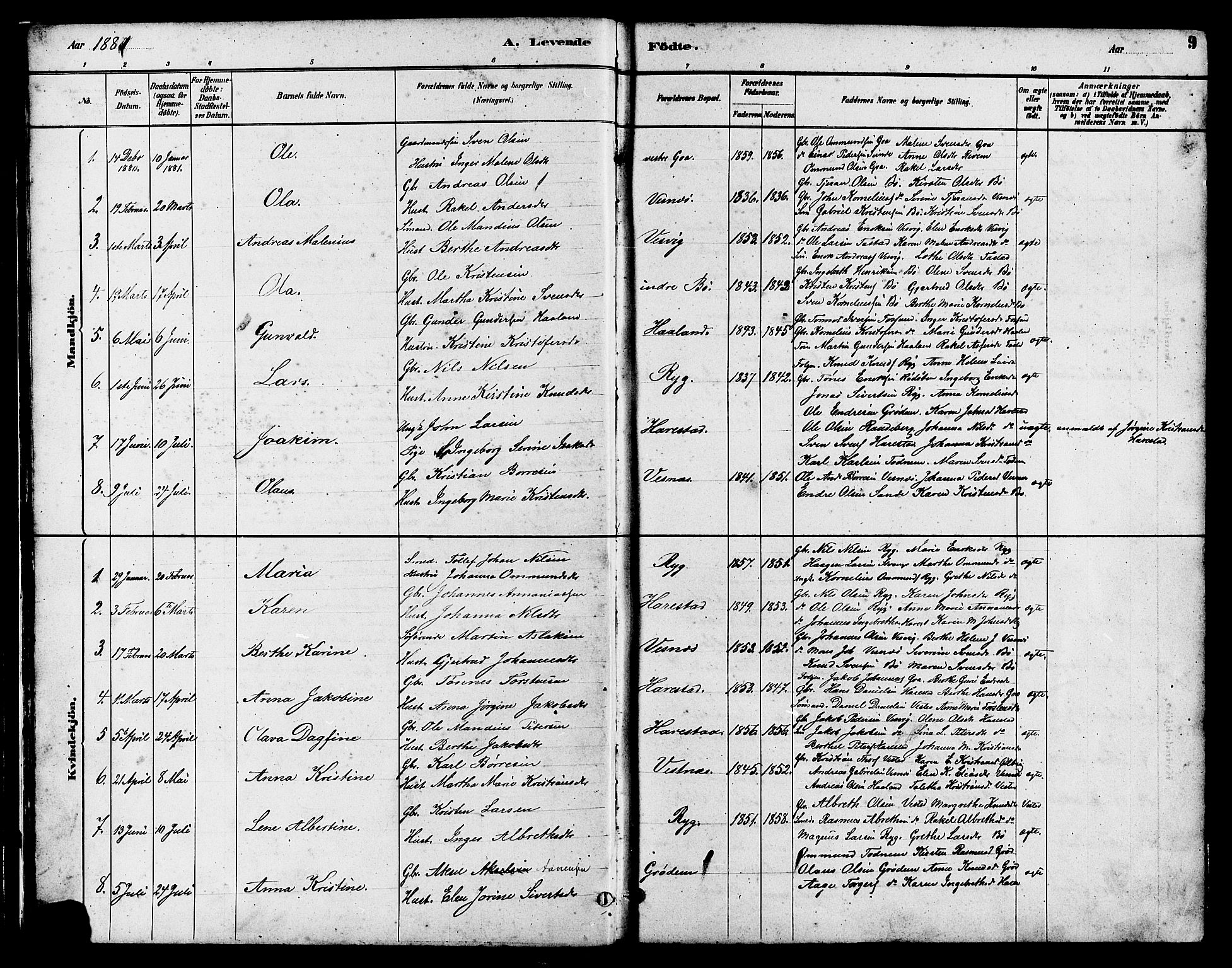 Hetland sokneprestkontor, SAST/A-101826/30/30BB/L0006: Parish register (copy) no. B 6, 1878-1921, p. 9