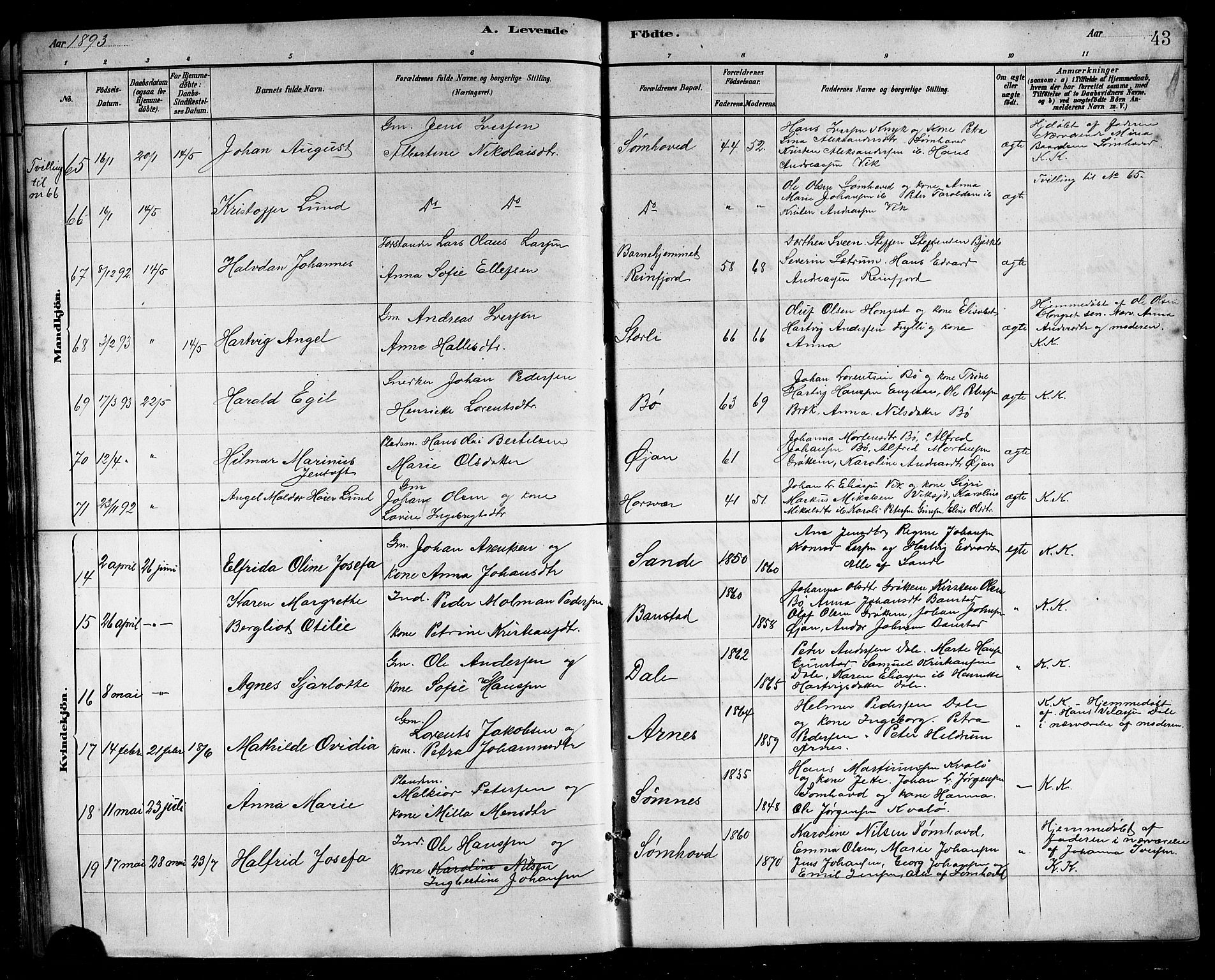 Ministerialprotokoller, klokkerbøker og fødselsregistre - Nordland, SAT/A-1459/812/L0188: Parish register (copy) no. 812C06, 1884-1912, p. 43