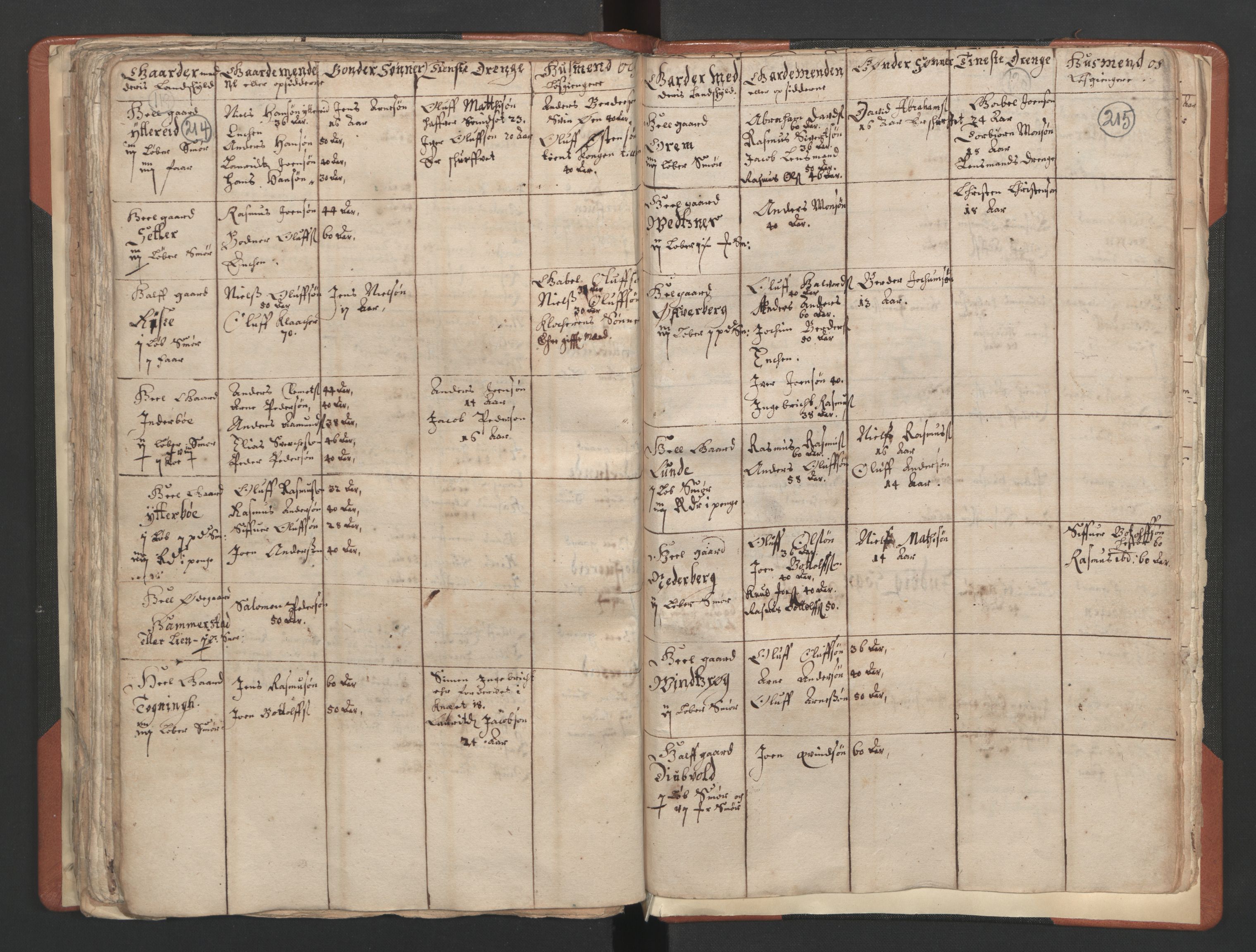 RA, Vicar's Census 1664-1666, no. 25: Nordfjord deanery, 1664-1666, p. 214-215