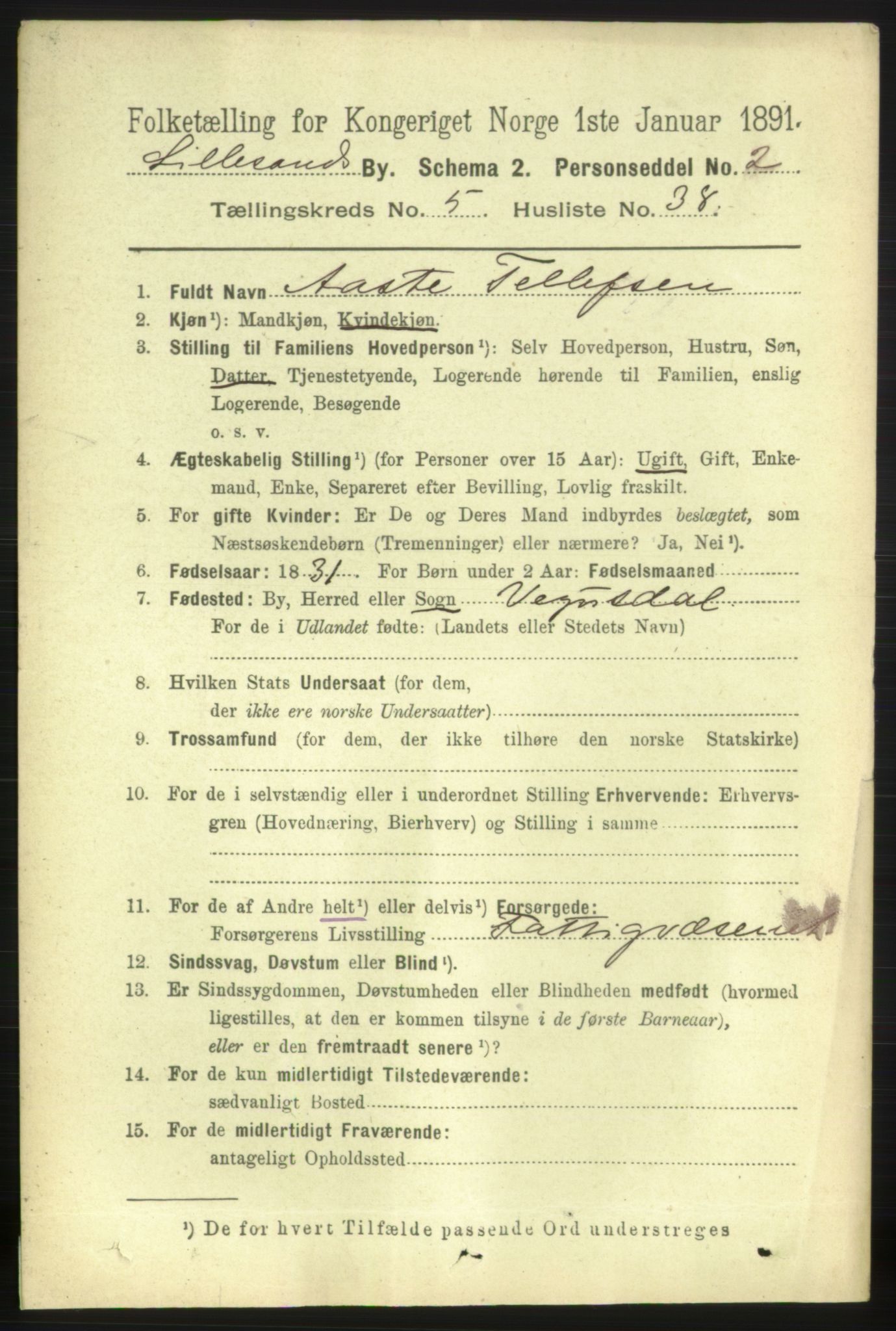 RA, 1891 census for 0905 Lillesand, 1891, p. 1614