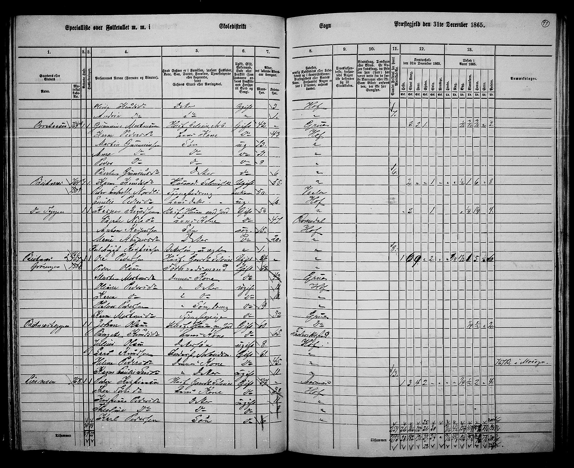 RA, 1865 census for Hof, 1865, p. 87