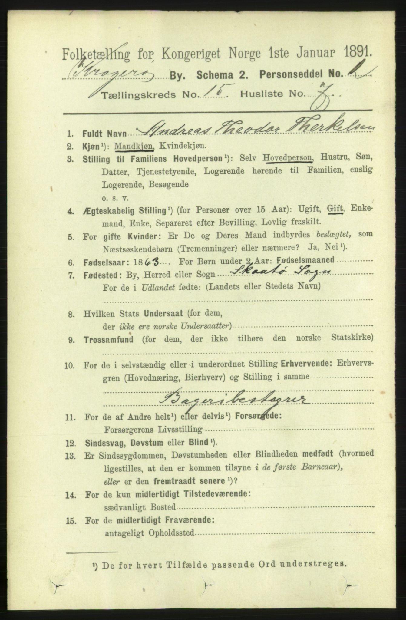 RA, 1891 census for 0801 Kragerø, 1891, p. 4269