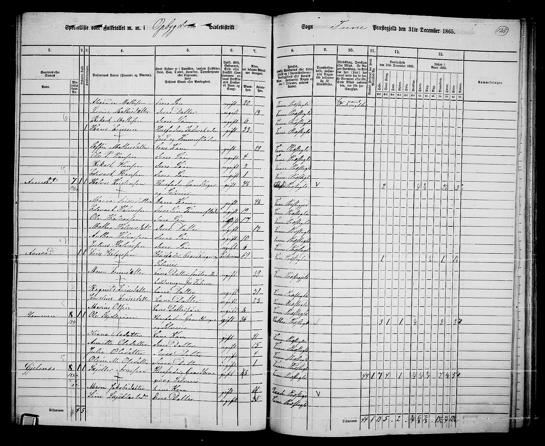 RA, 1865 census for Tune, 1865, p. 207