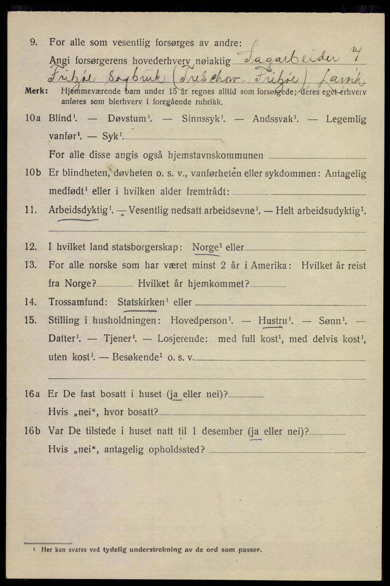 SAKO, 1920 census for Larvik, 1920, p. 13007