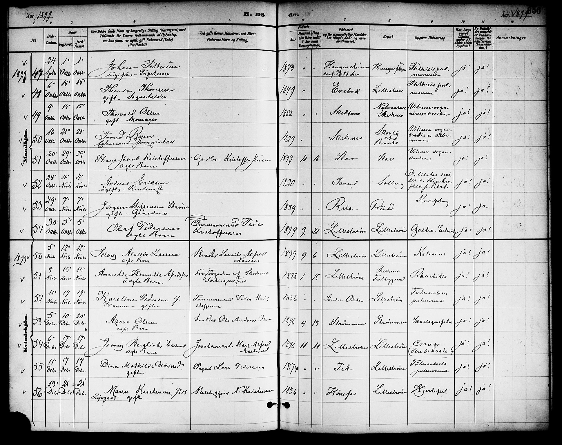 Skedsmo prestekontor Kirkebøker, AV/SAO-A-10033a/F/Fa/L0014: Parish register (official) no. I 14, 1892-1901, p. 356