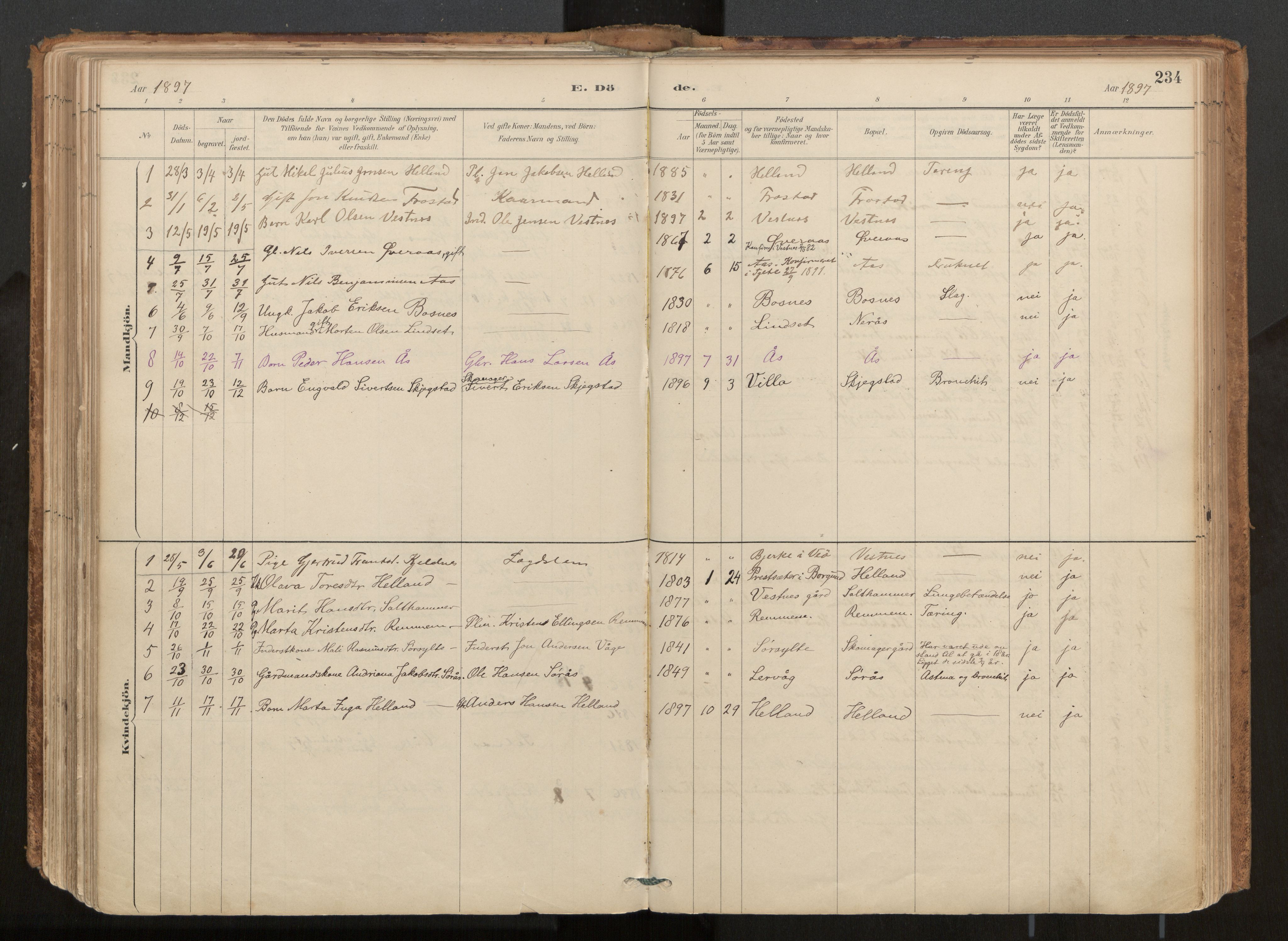 Ministerialprotokoller, klokkerbøker og fødselsregistre - Møre og Romsdal, SAT/A-1454/539/L0531: Parish register (official) no. 539A04, 1887-1913, p. 234