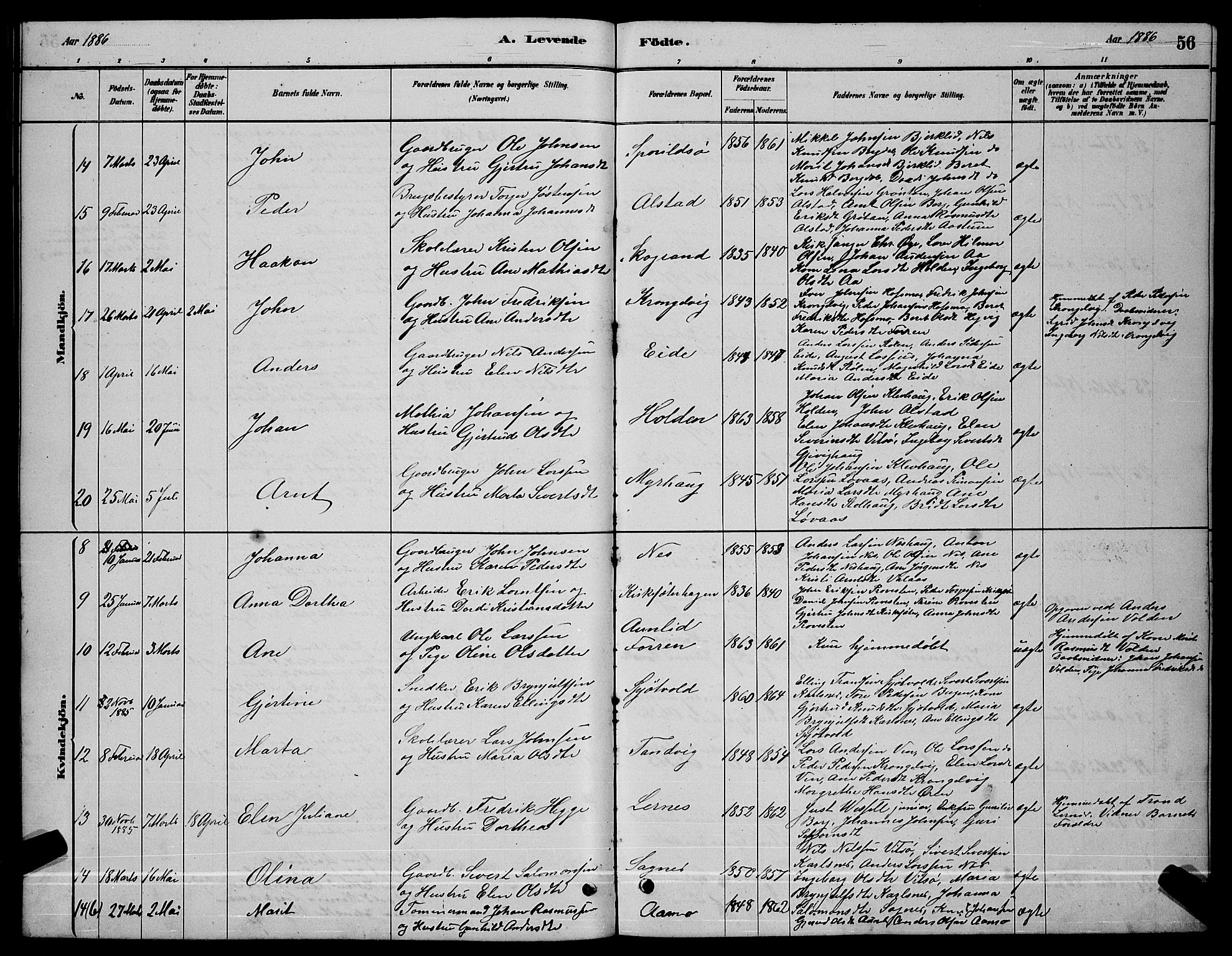 Ministerialprotokoller, klokkerbøker og fødselsregistre - Sør-Trøndelag, AV/SAT-A-1456/630/L0504: Parish register (copy) no. 630C02, 1879-1898, p. 56