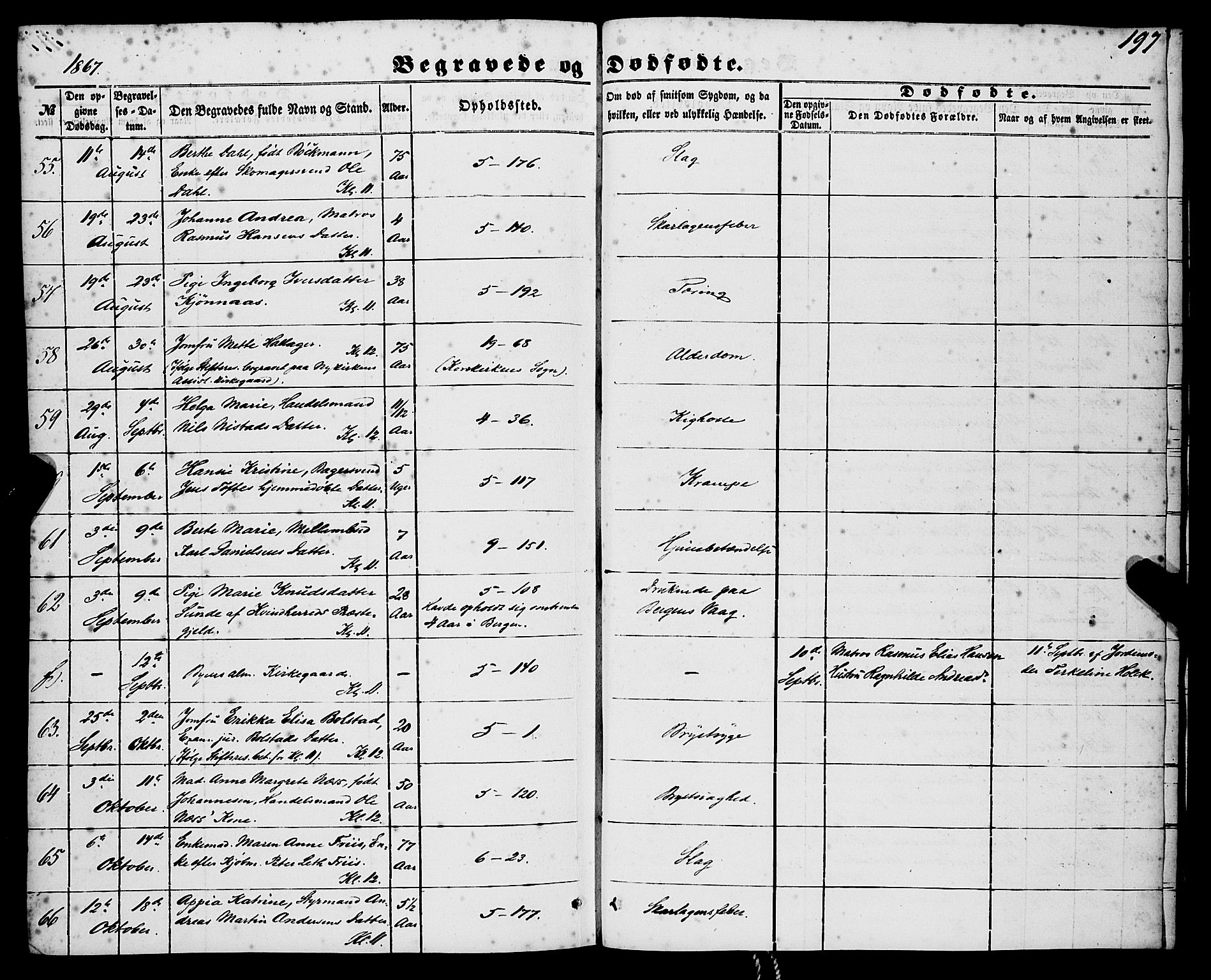 Nykirken Sokneprestembete, AV/SAB-A-77101/H/Haa/L0042: Parish register (official) no. E 2, 1850-1868, p. 197