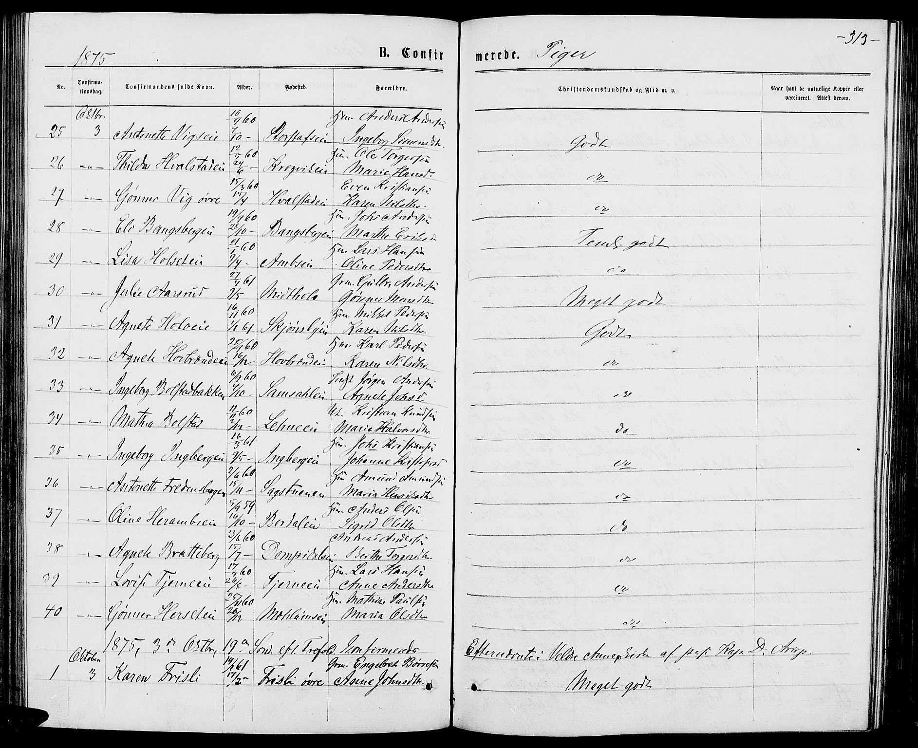 Ringsaker prestekontor, AV/SAH-PREST-014/L/La/L0008: Parish register (copy) no. 8, 1870-1878, p. 313