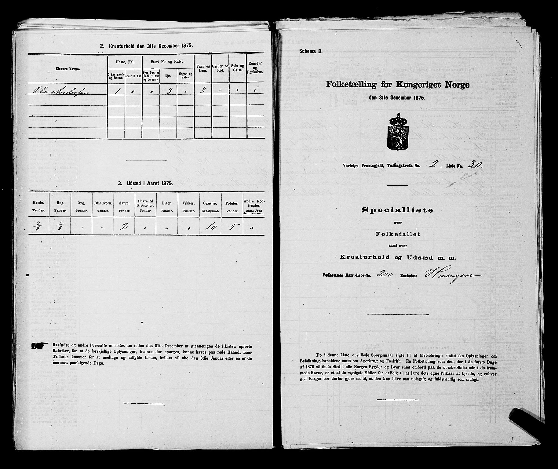 RA, 1875 census for 0114P Varteig, 1875, p. 262