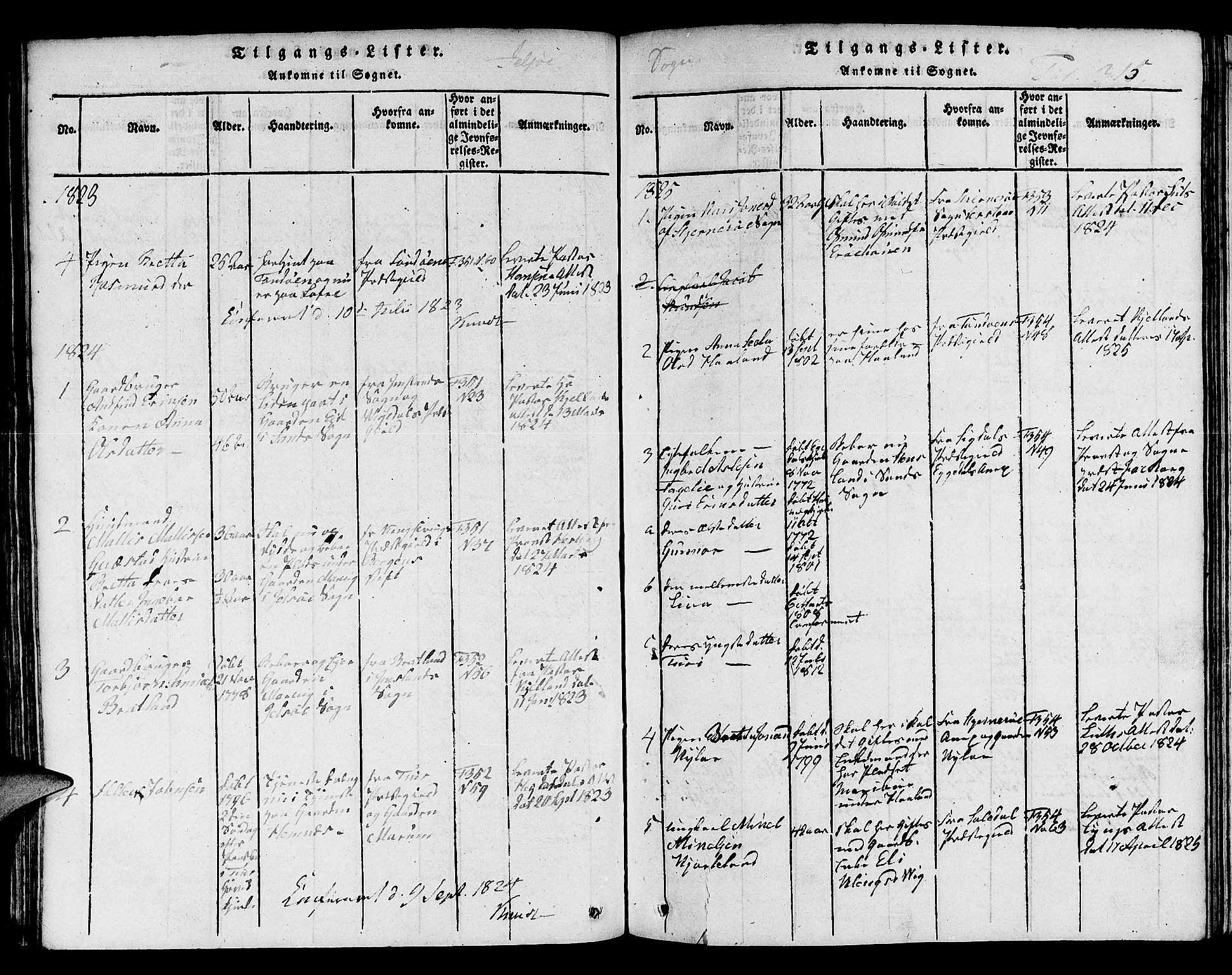 Jelsa sokneprestkontor, SAST/A-101842/01/V: Parish register (copy) no. B 1 /1, 1816-1828, p. 316