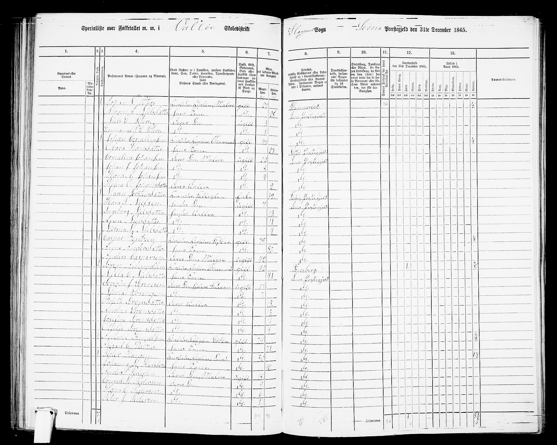 RA, 1865 census for Sem, 1865, p. 161
