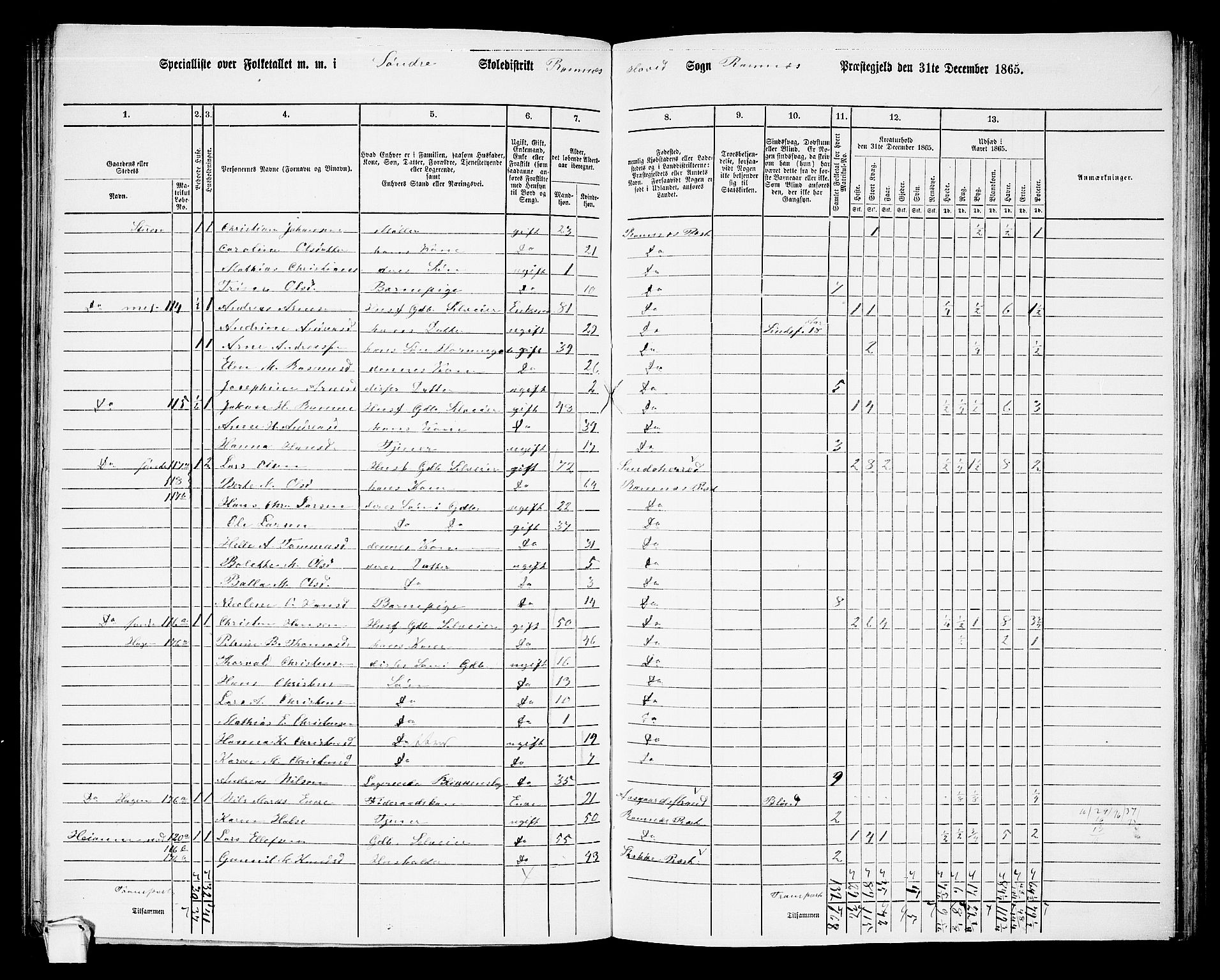 RA, 1865 census for Ramnes, 1865, p. 19