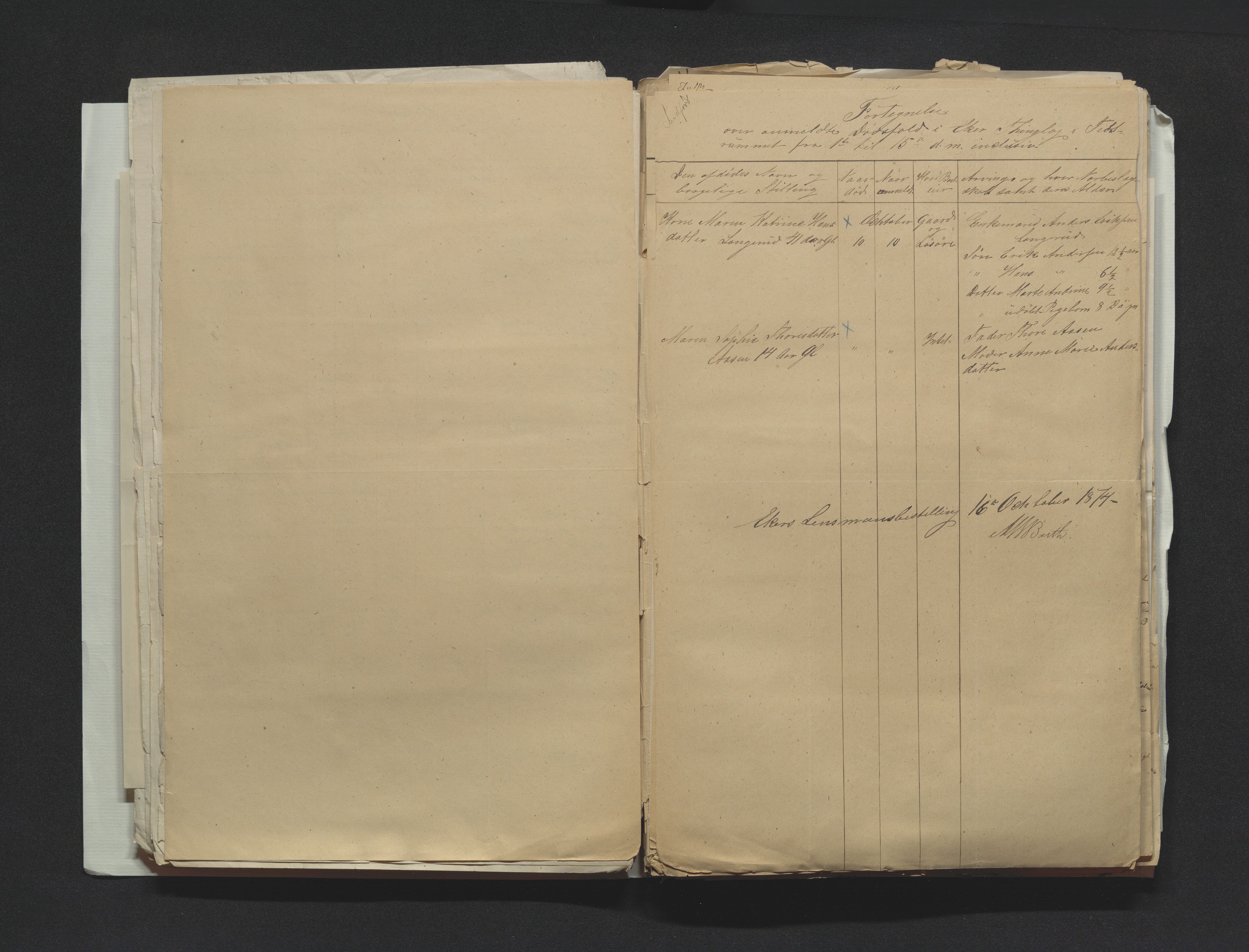 Eiker, Modum og Sigdal sorenskriveri, AV/SAKO-A-123/H/Ha/Hab/L0014: Dødsfallsmeldinger, 1874-1877, p. 42