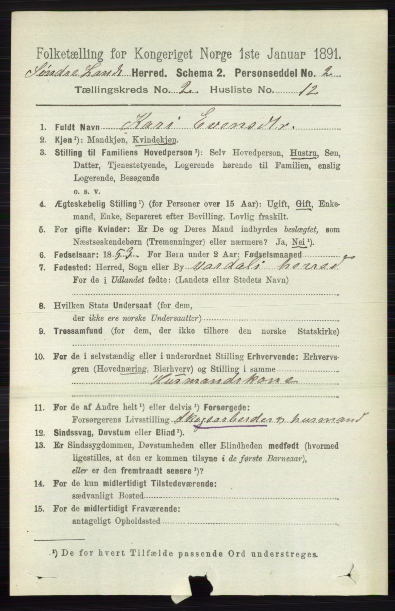 RA, 1891 census for 0536 Søndre Land, 1891, p. 1104