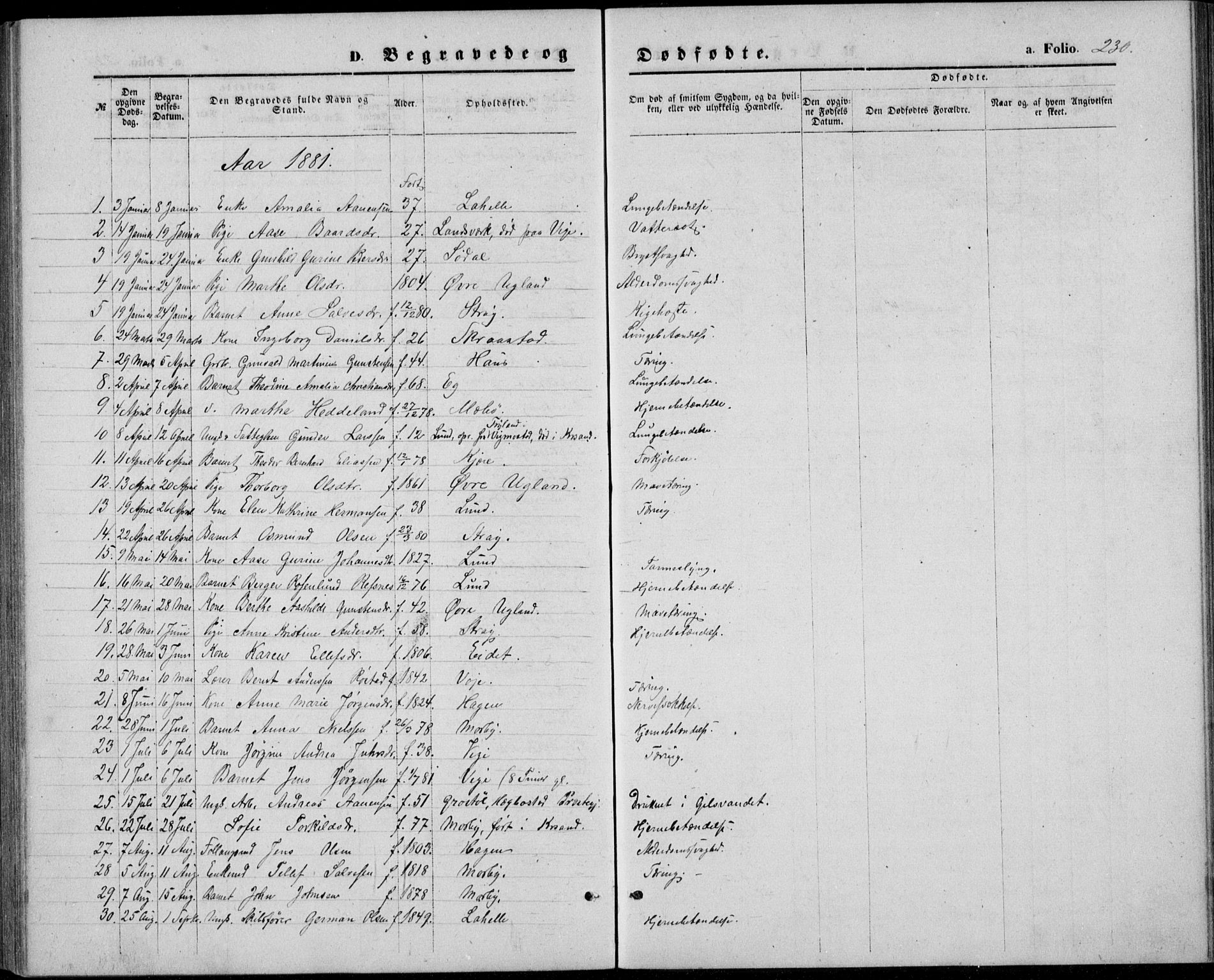 Oddernes sokneprestkontor, AV/SAK-1111-0033/F/Fb/Fba/L0007: Parish register (copy) no. B 7, 1869-1887, p. 230