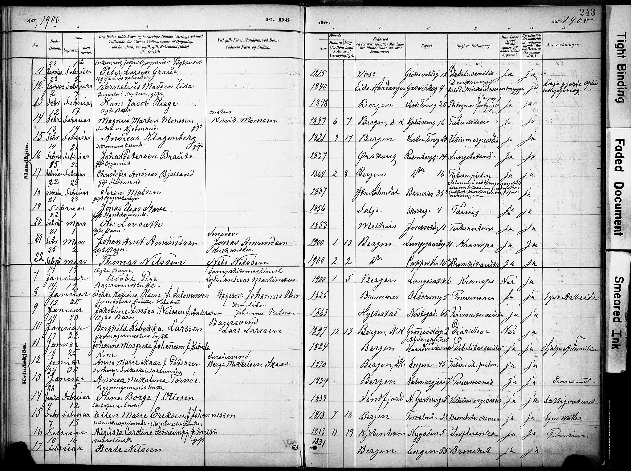 Domkirken sokneprestembete, AV/SAB-A-74801/H/Haa/L0043: Parish register (official) no. E 5, 1882-1904, p. 243