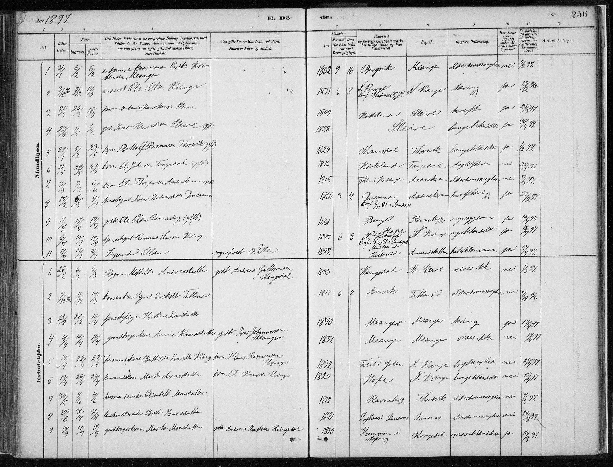 Masfjorden Sokneprestembete, SAB/A-77001: Parish register (official) no. B  1, 1876-1899, p. 256