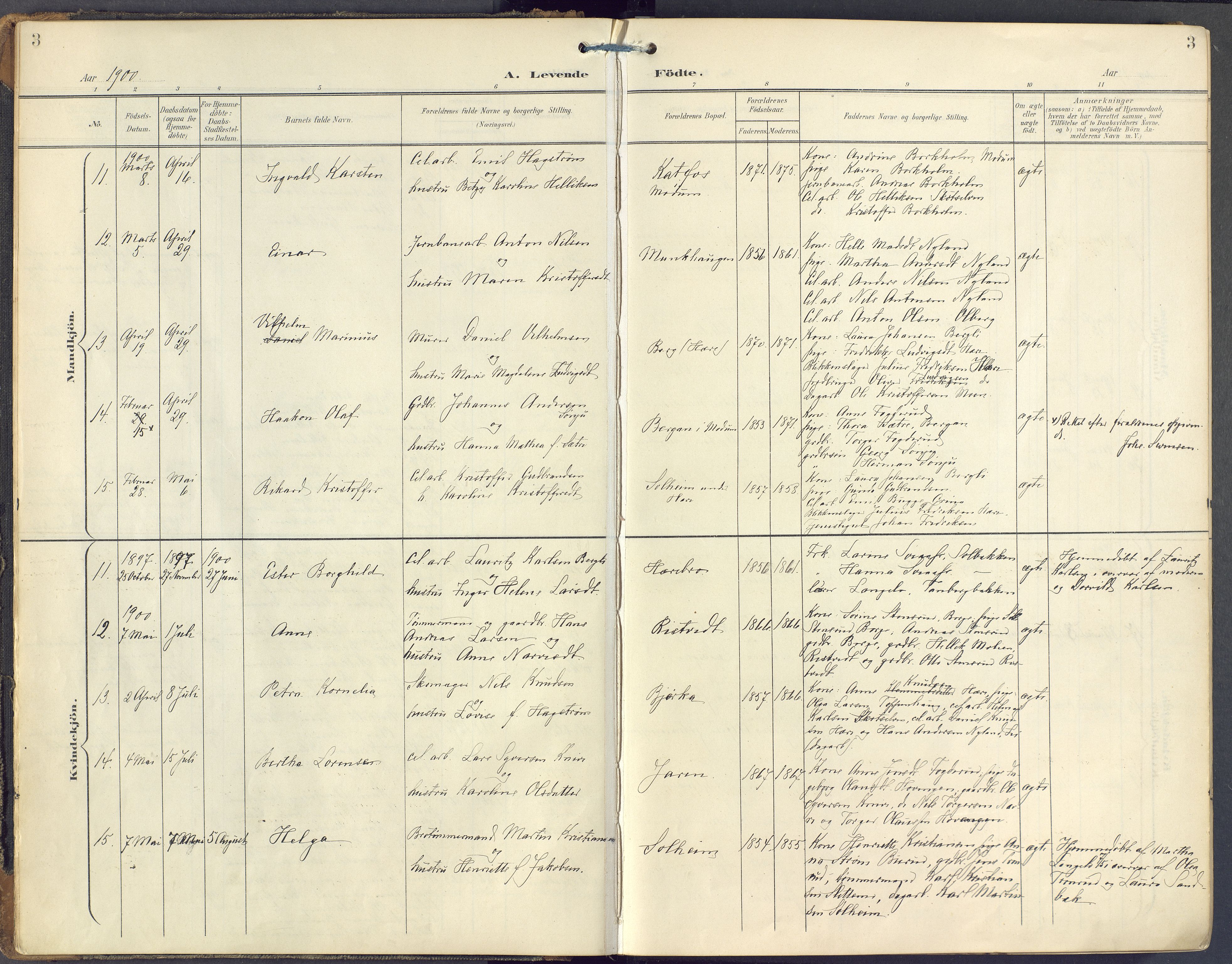 Eiker kirkebøker, AV/SAKO-A-4/F/Fc/L0004: Parish register (official) no. III 4, 1900-1919, p. 3