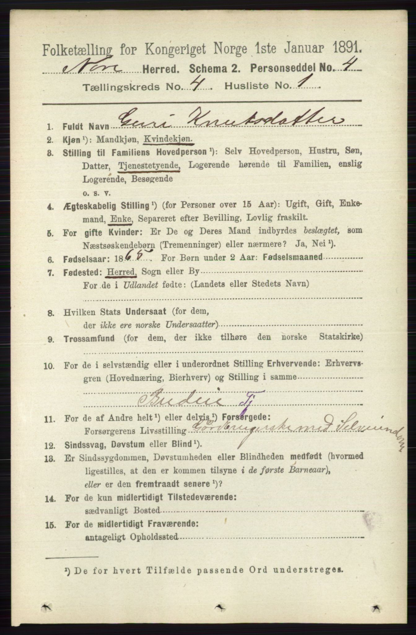 RA, 1891 census for 0633 Nore, 1891, p. 1268