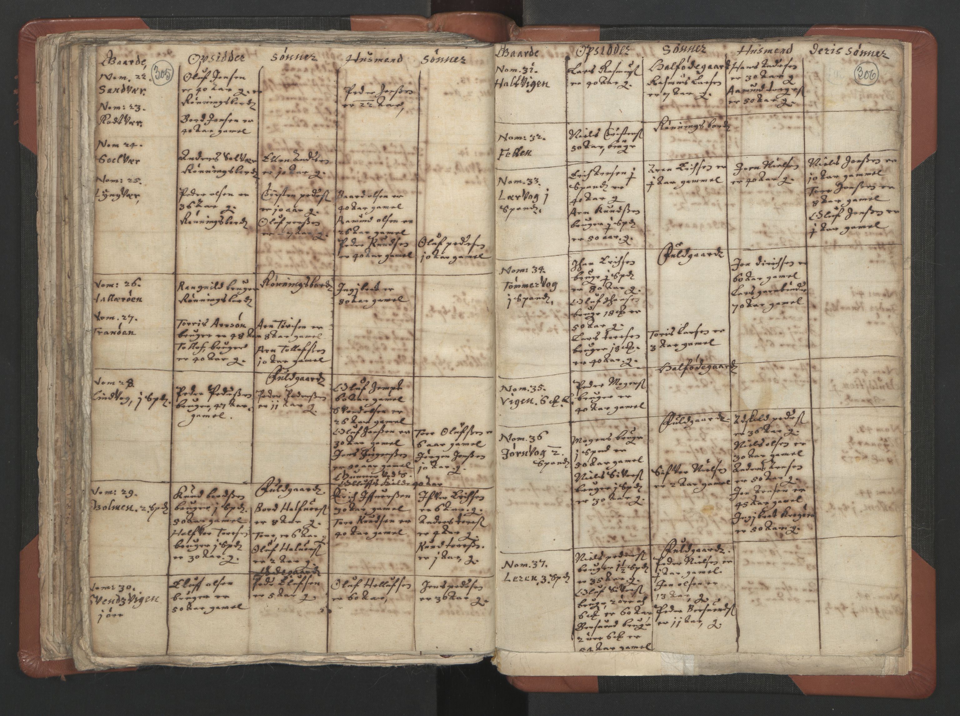 RA, Vicar's Census 1664-1666, no. 29: Nordmøre deanery, 1664-1666, p. 305-306