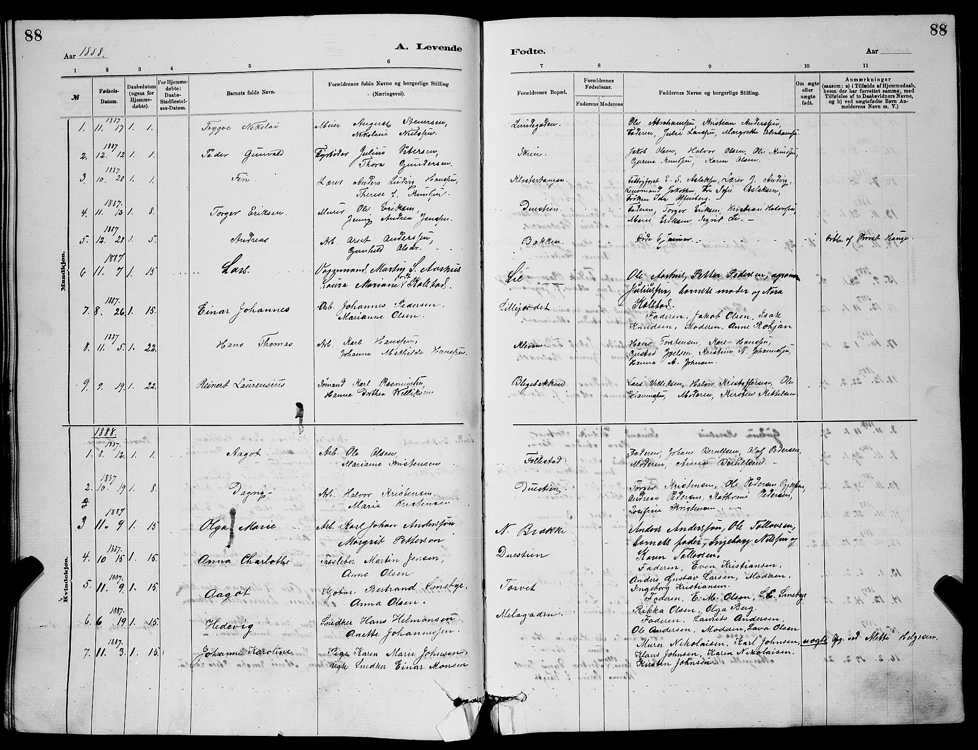 Skien kirkebøker, SAKO/A-302/G/Ga/L0006: Parish register (copy) no. 6, 1881-1890, p. 88
