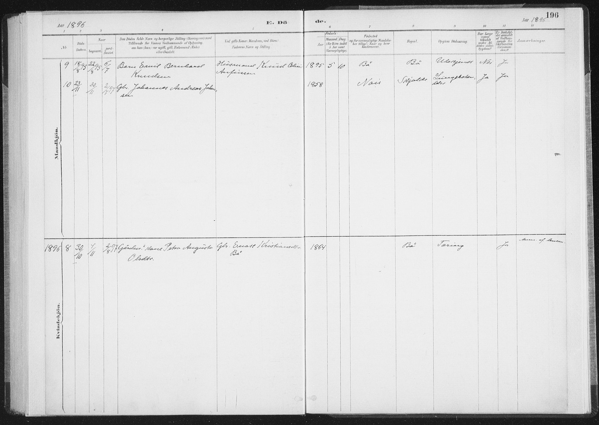 Ministerialprotokoller, klokkerbøker og fødselsregistre - Nordland, AV/SAT-A-1459/898/L1422: Parish register (official) no. 898A02, 1887-1908, p. 196