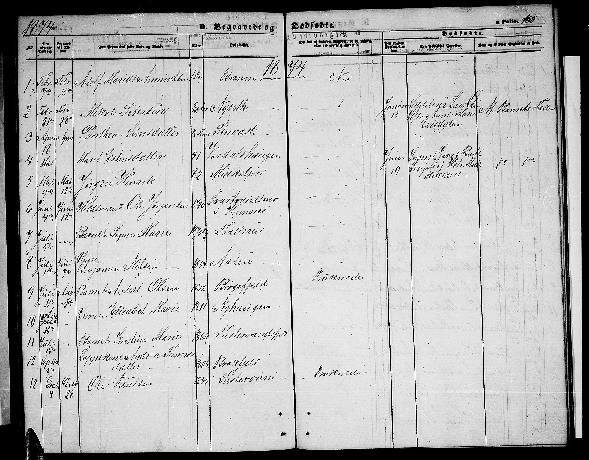 Ministerialprotokoller, klokkerbøker og fødselsregistre - Nordland, AV/SAT-A-1459/823/L0329: Parish register (copy) no. 823C01, 1865-1878, p. 165