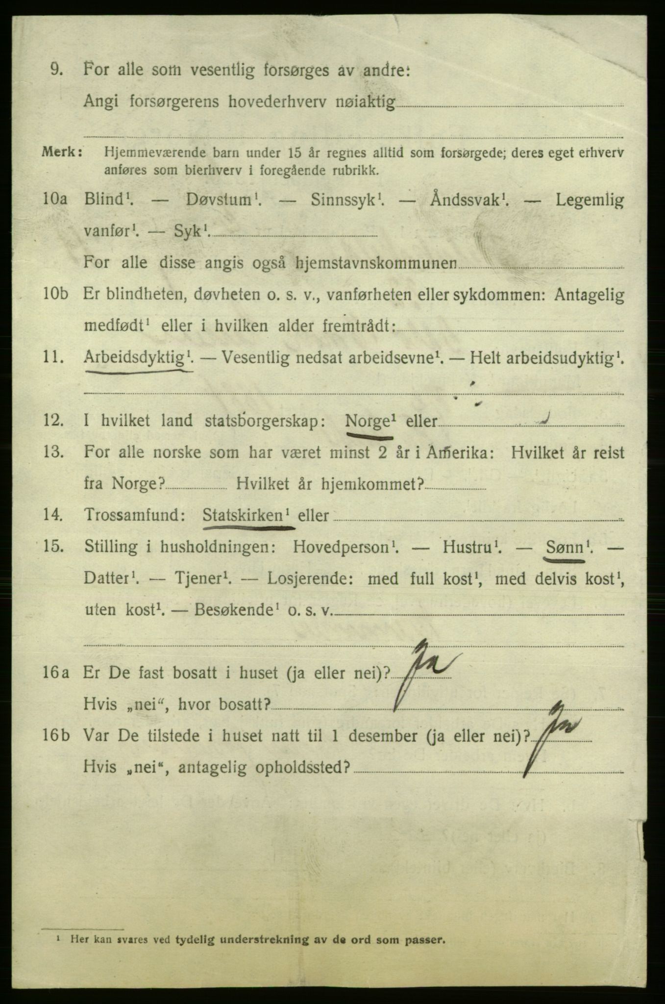 SAO, 1920 census for Fredrikshald, 1920, p. 29053