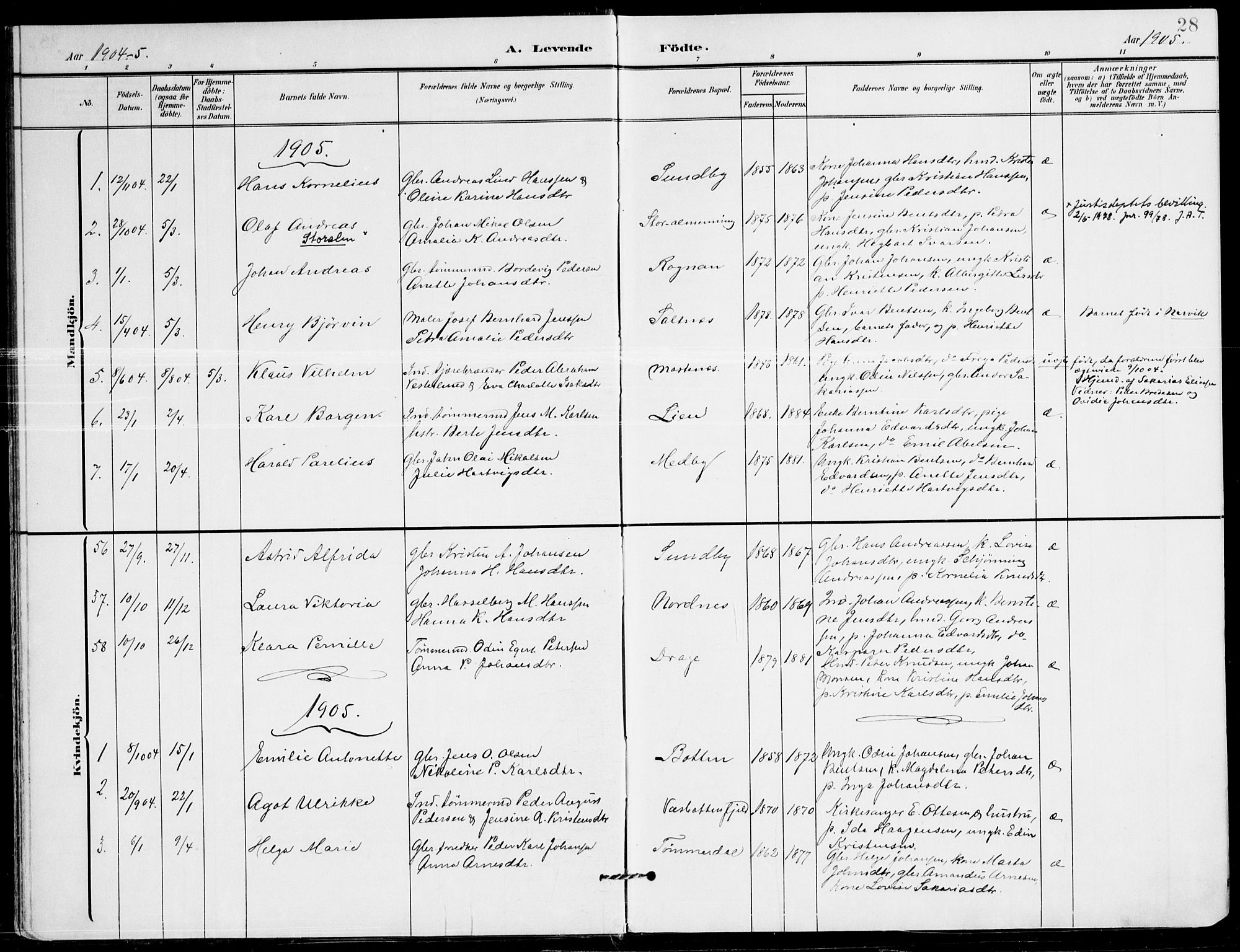 Ministerialprotokoller, klokkerbøker og fødselsregistre - Nordland, SAT/A-1459/847/L0672: Parish register (official) no. 847A12, 1902-1919, p. 28