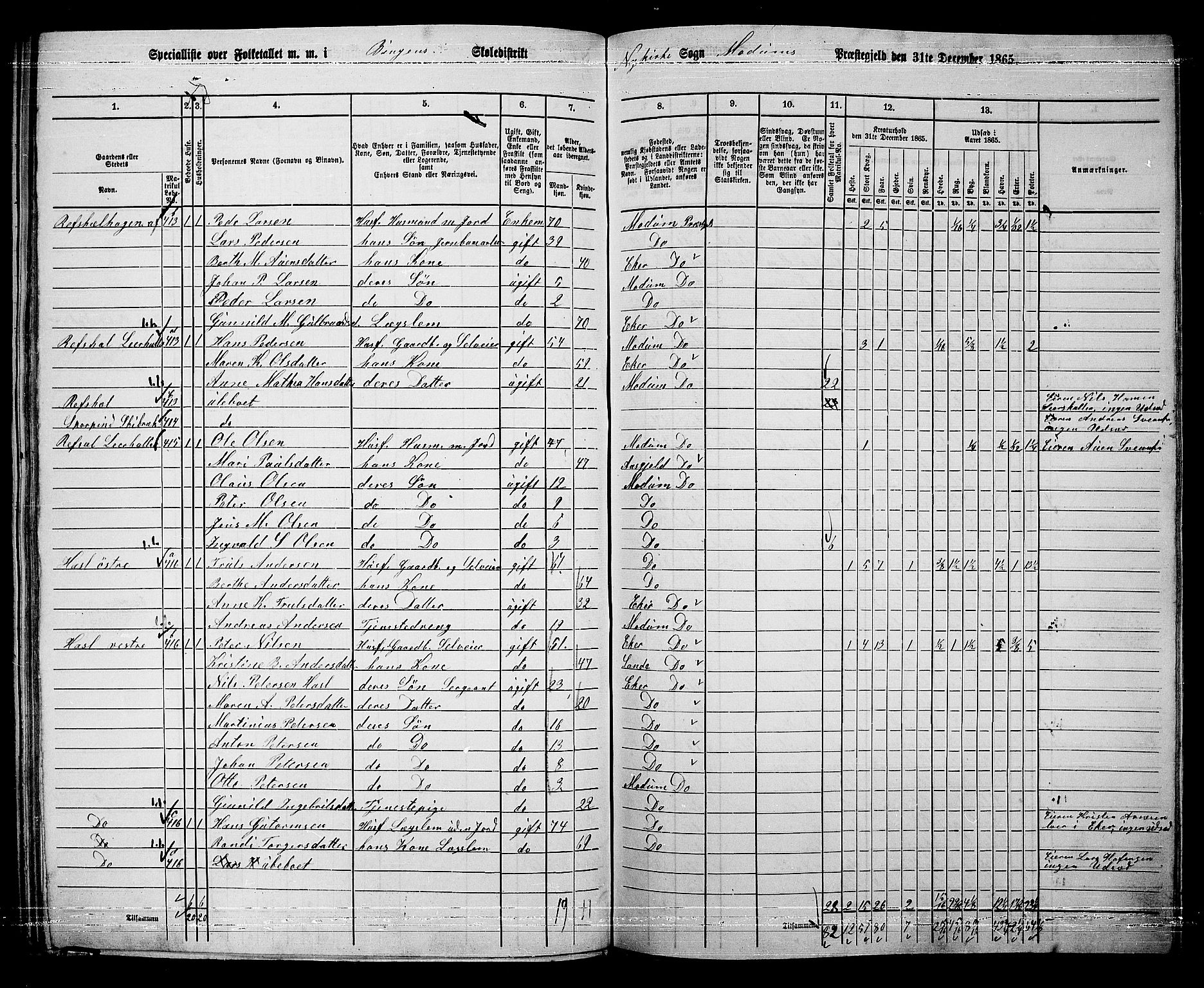 RA, 1865 census for Modum, 1865, p. 280