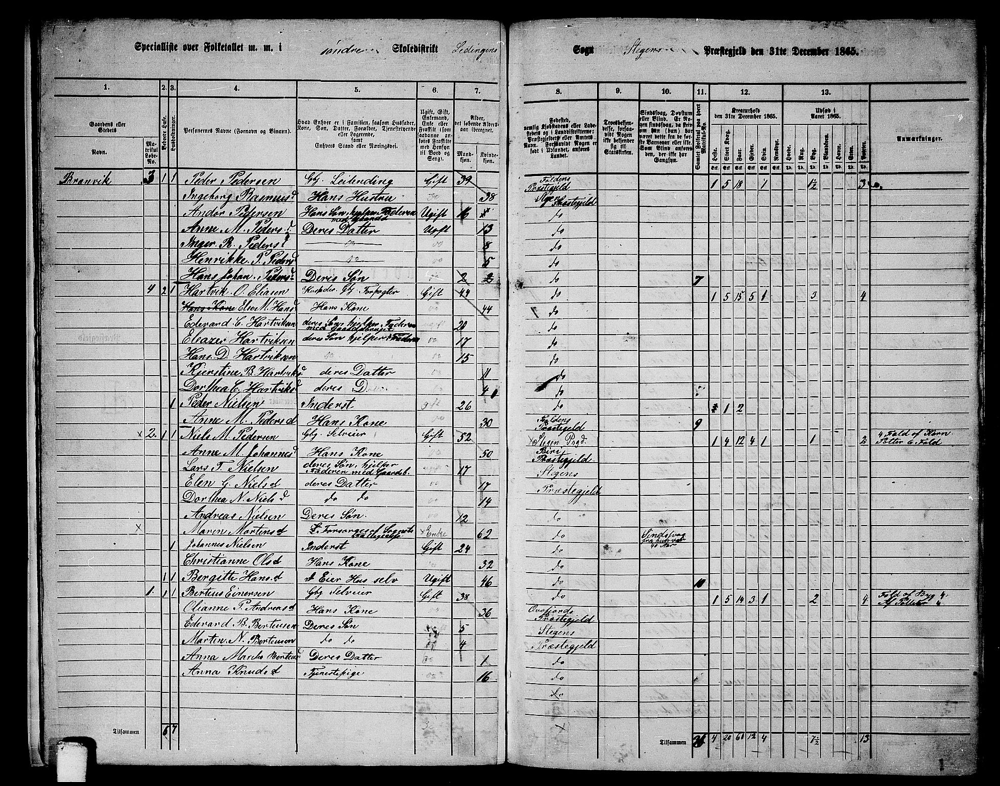 RA, 1865 census for Steigen, 1865, p. 11