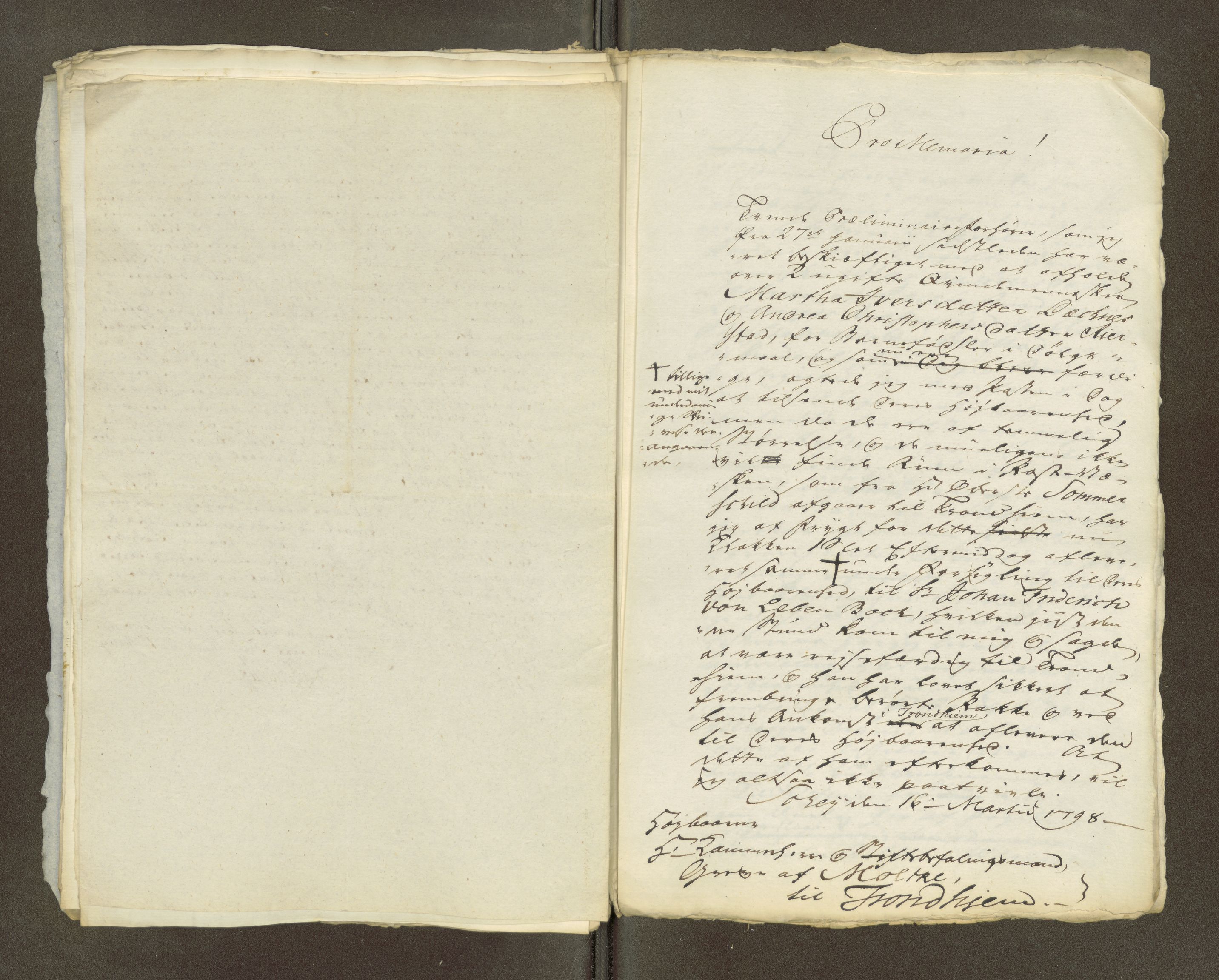 Namdal sorenskriveri, AV/SAT-A-4133/1/1/1O/1Oa/L0007: Sivile og offentlige saker, 1798, p. 24