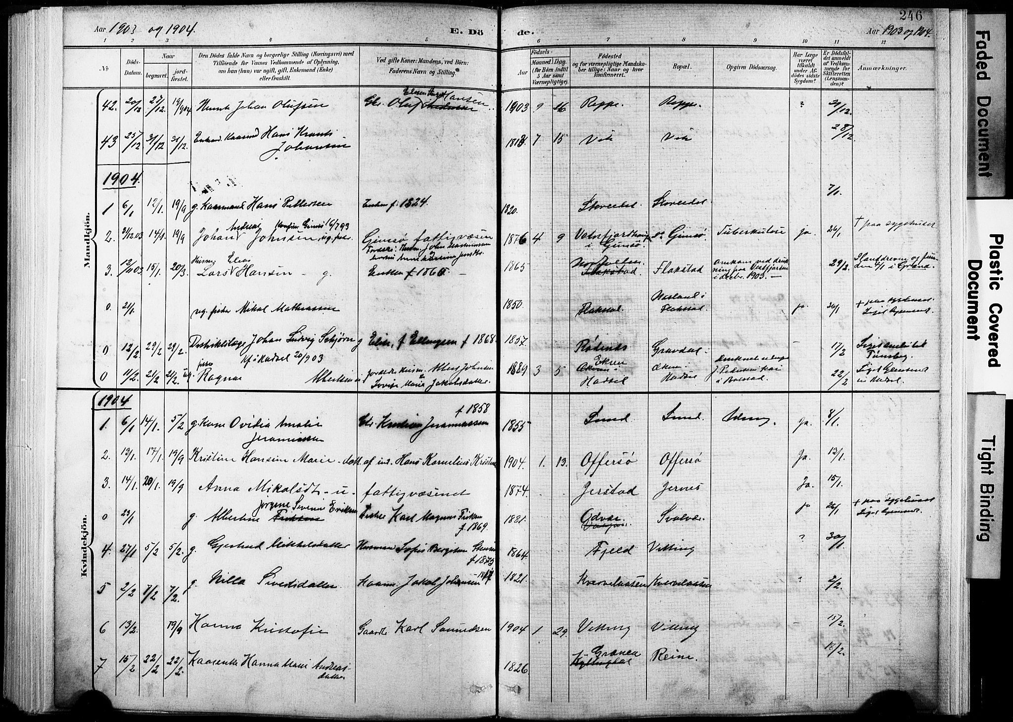 Ministerialprotokoller, klokkerbøker og fødselsregistre - Nordland, AV/SAT-A-1459/881/L1151: Parish register (official) no. 881A04, 1899-1907, p. 246