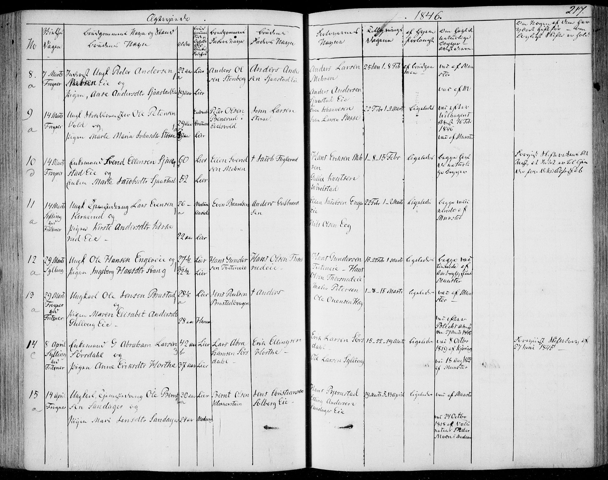 Lier kirkebøker, AV/SAKO-A-230/F/Fa/L0011: Parish register (official) no. I 11, 1843-1854, p. 217