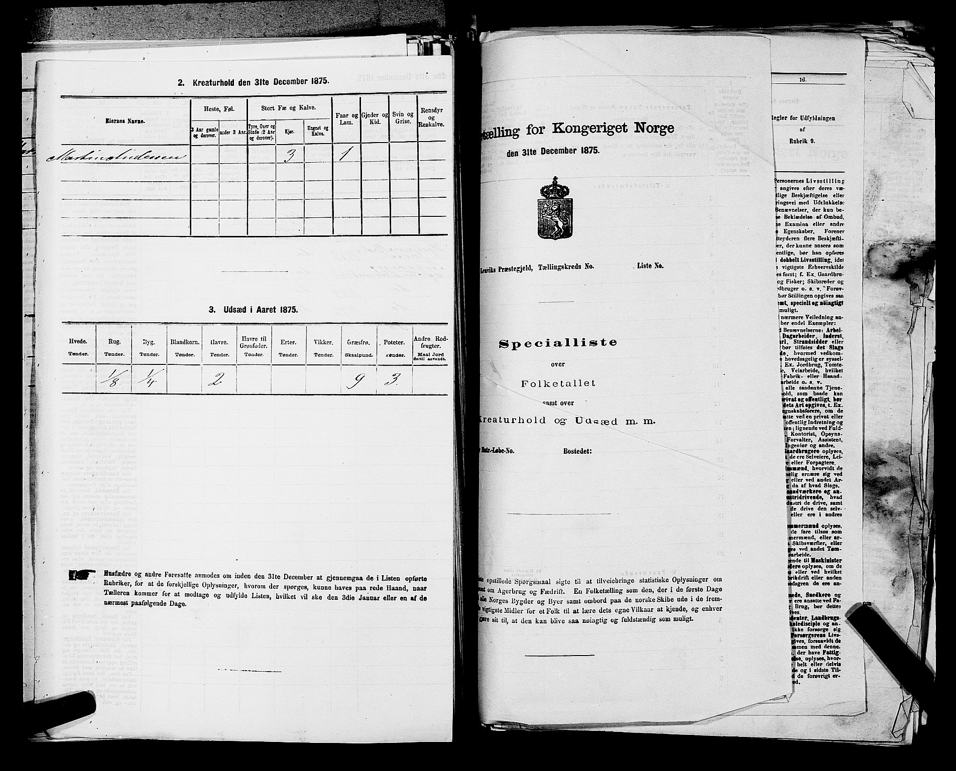 RA, 1875 census for 0125P Eidsberg, 1875, p. 1848