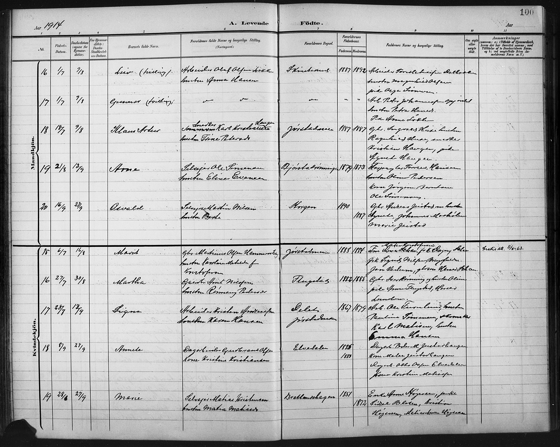 Fåberg prestekontor, AV/SAH-PREST-086/H/Ha/Hab/L0011: Parish register (copy) no. 11, 1901-1921, p. 100