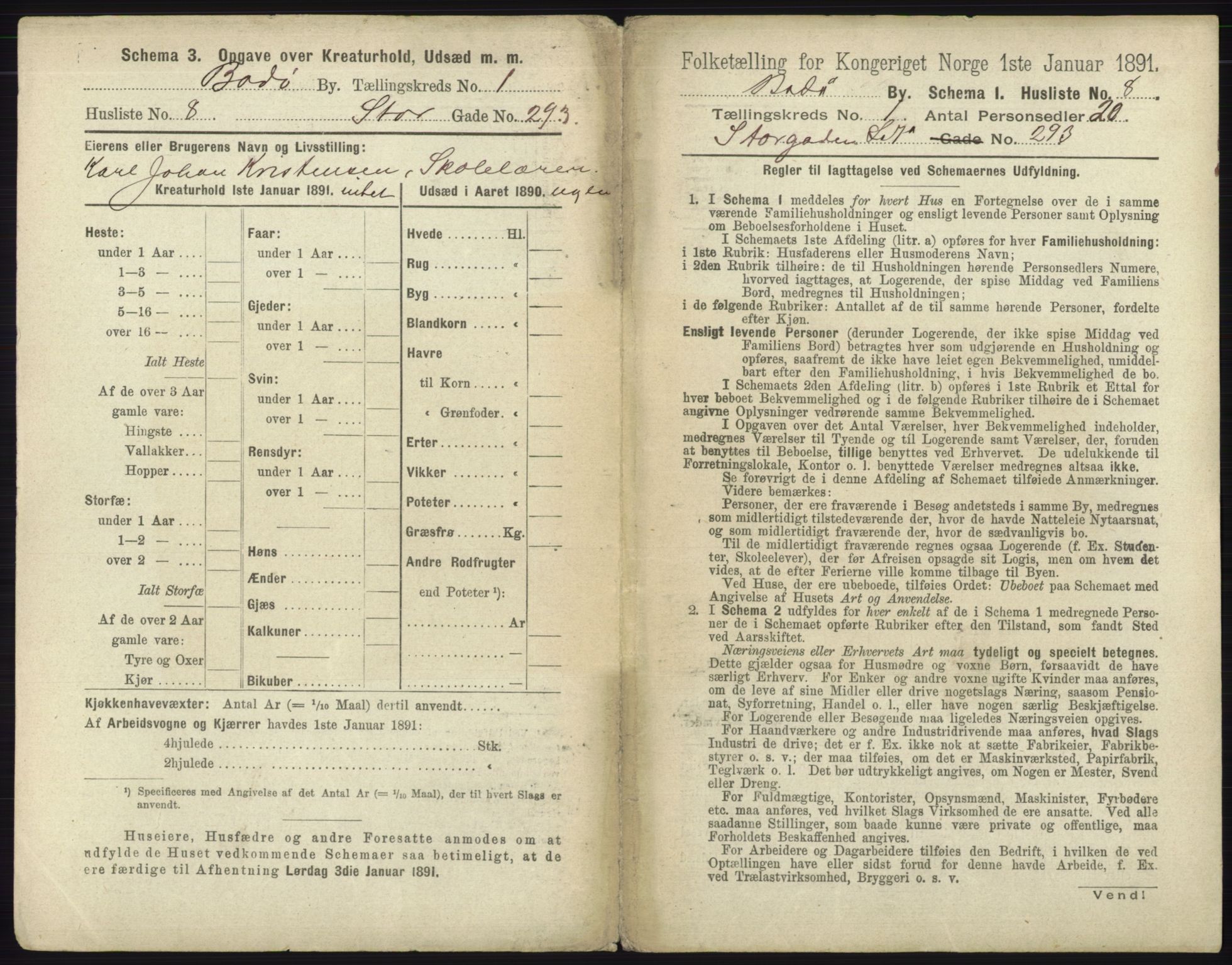 RA, 1891 census for 1804 Bodø, 1891, p. 31