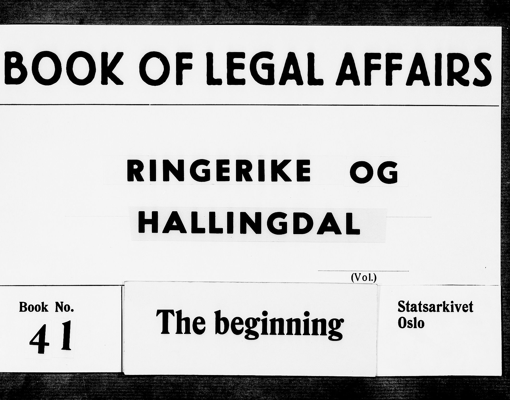 Ringerike og Hallingdal sorenskriveri, SAKO/A-81/F/Fa/Faa/L0023: Tingbok, 1696-1699