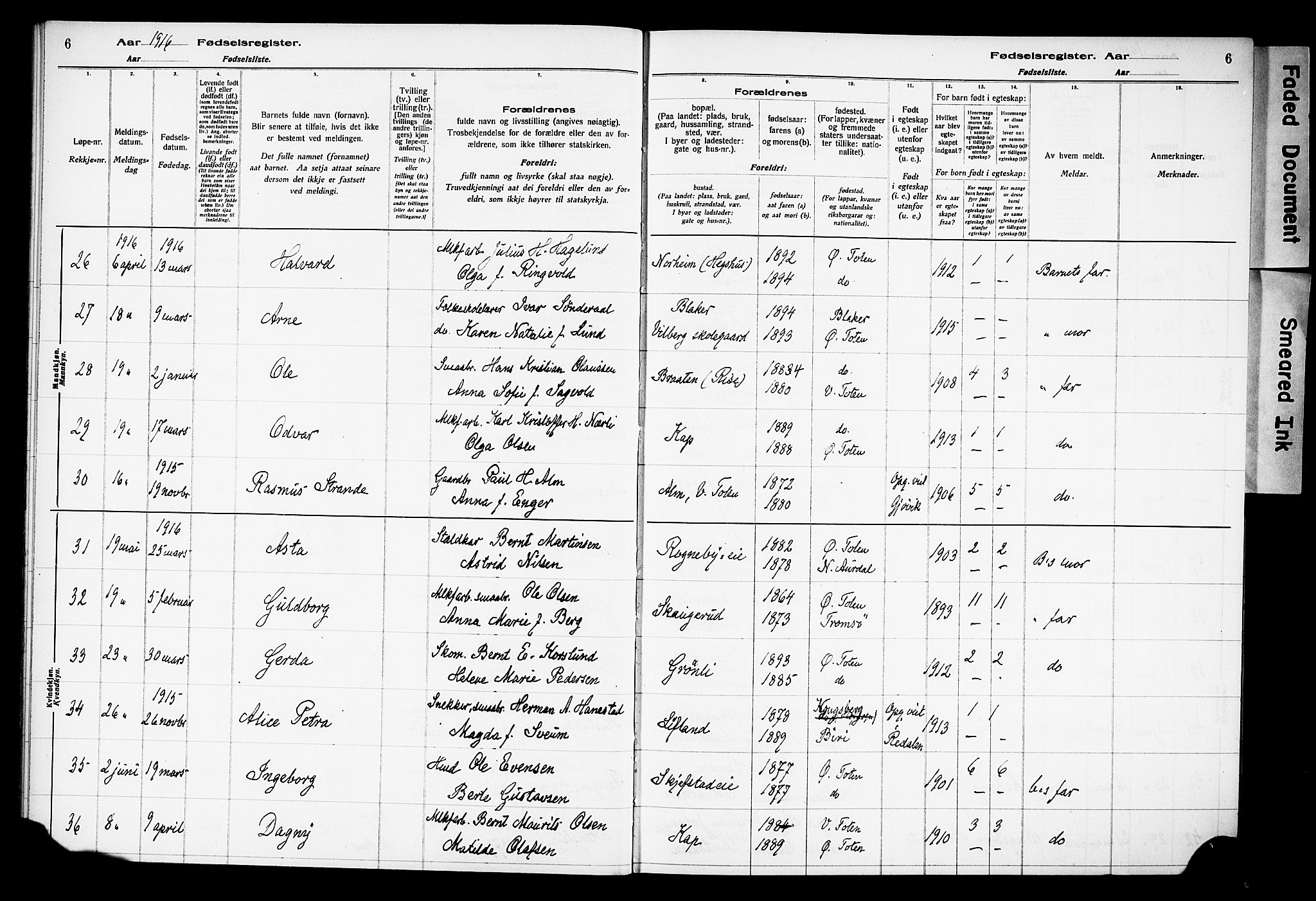 Østre Toten prestekontor, AV/SAH-PREST-104/I/Id/L0001/0001: Birth register no. 1.1, 1916-1928, p. 6