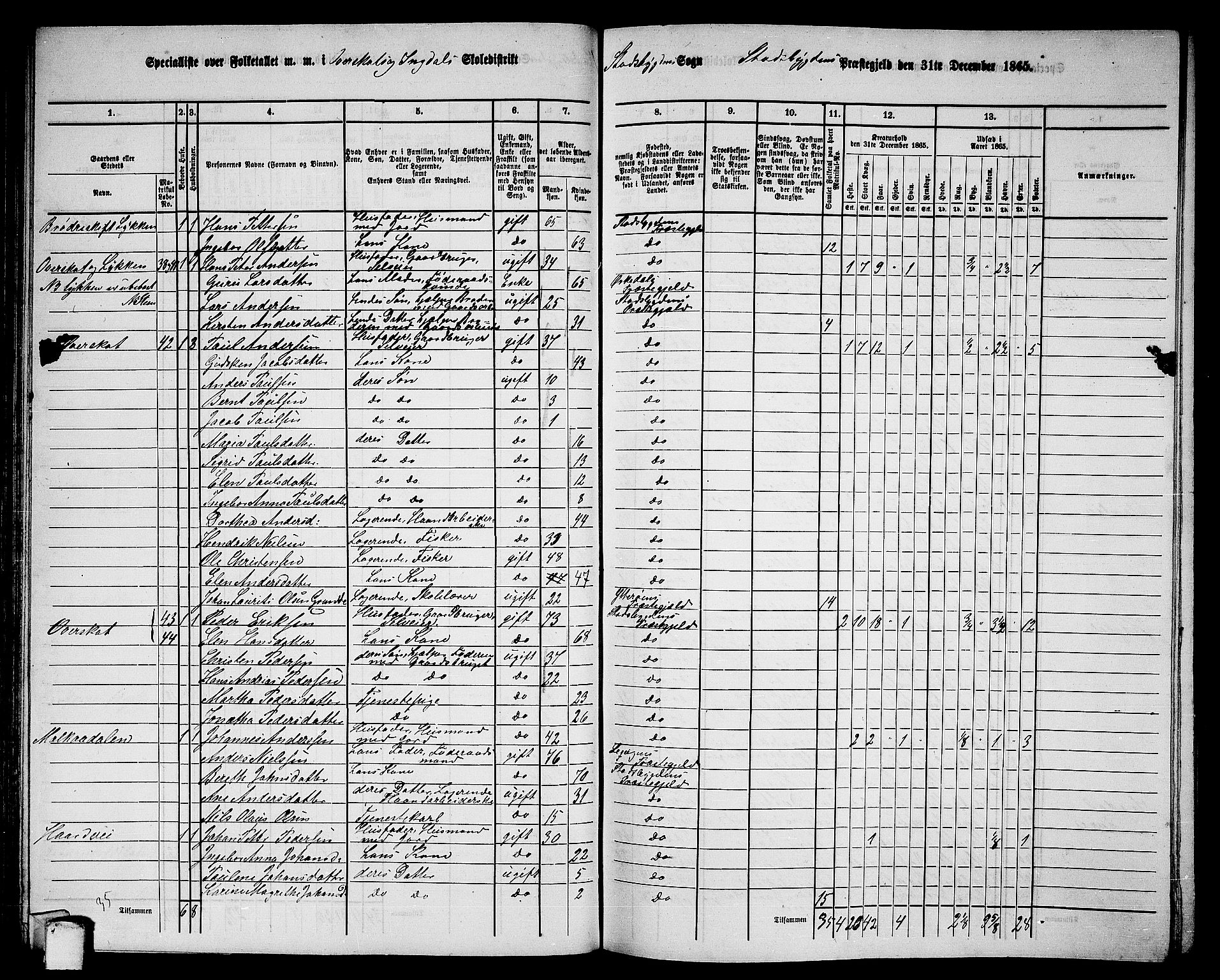 RA, 1865 census for Stadsbygd, 1865, p. 66